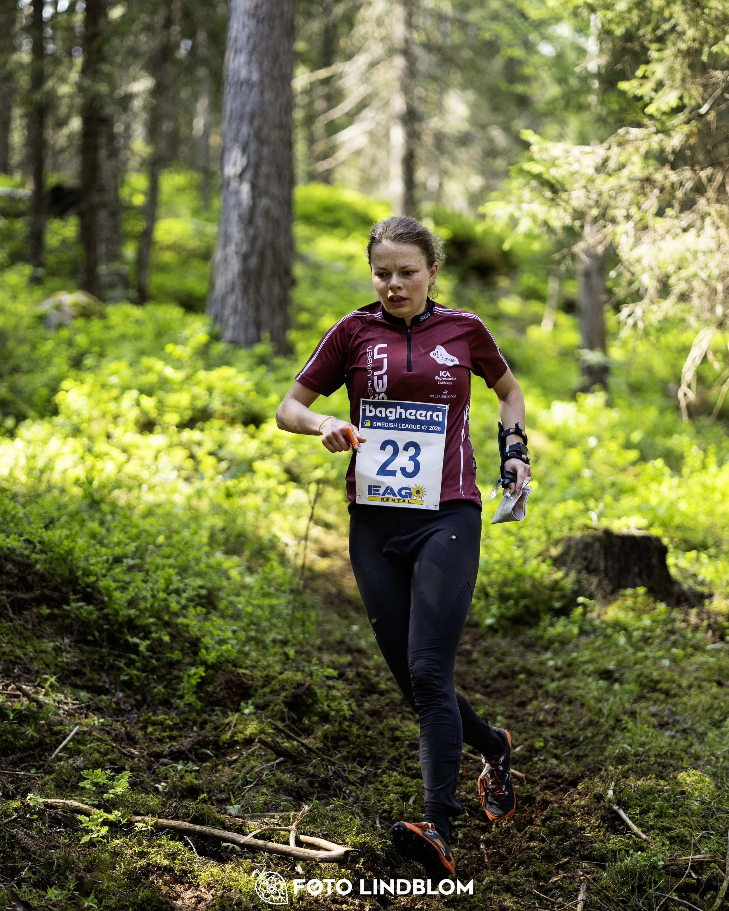 A picture from the seventh stage of the Swedish League orienteering competition