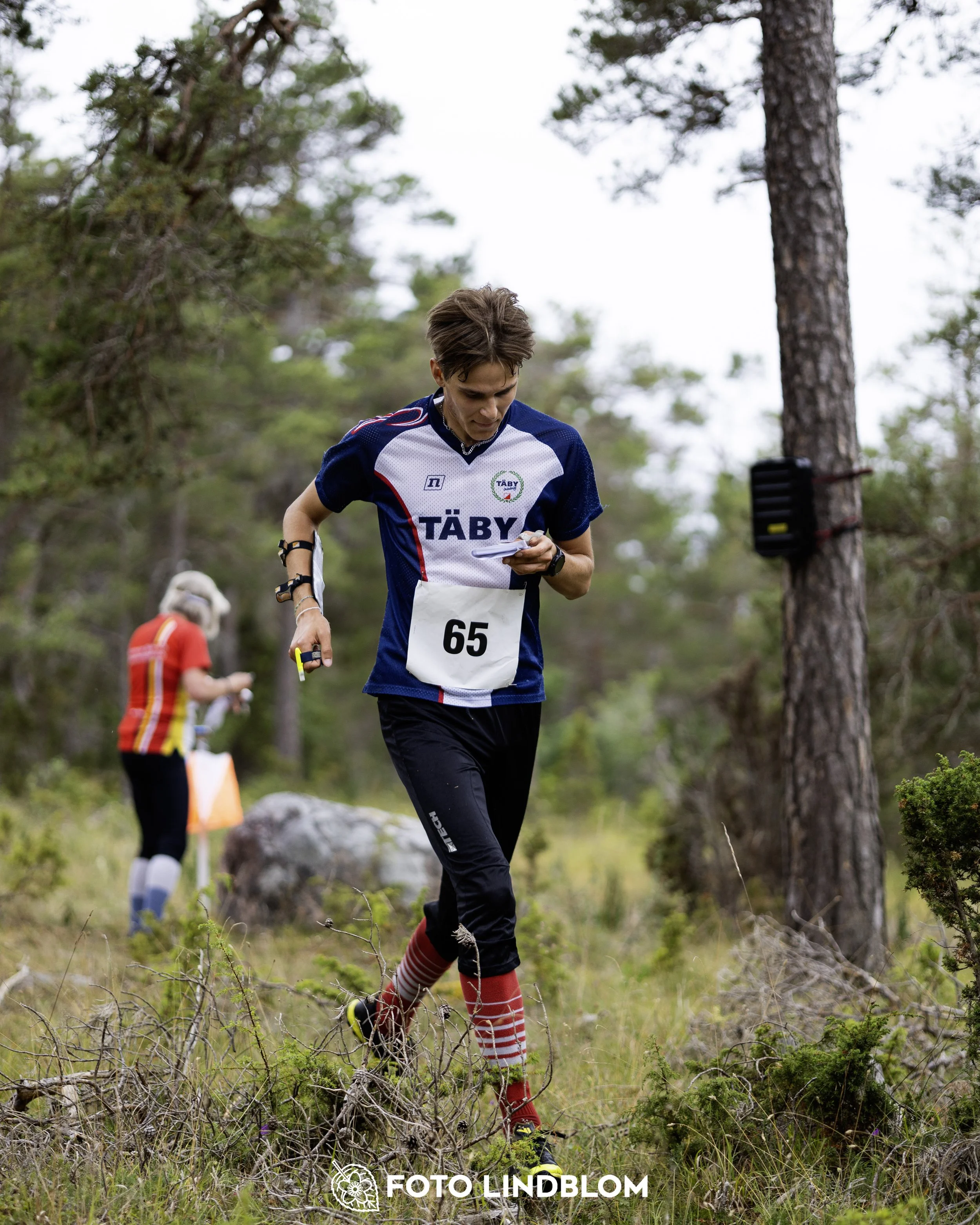 A picture from the Gotlands 2-Dagars orienteering competition