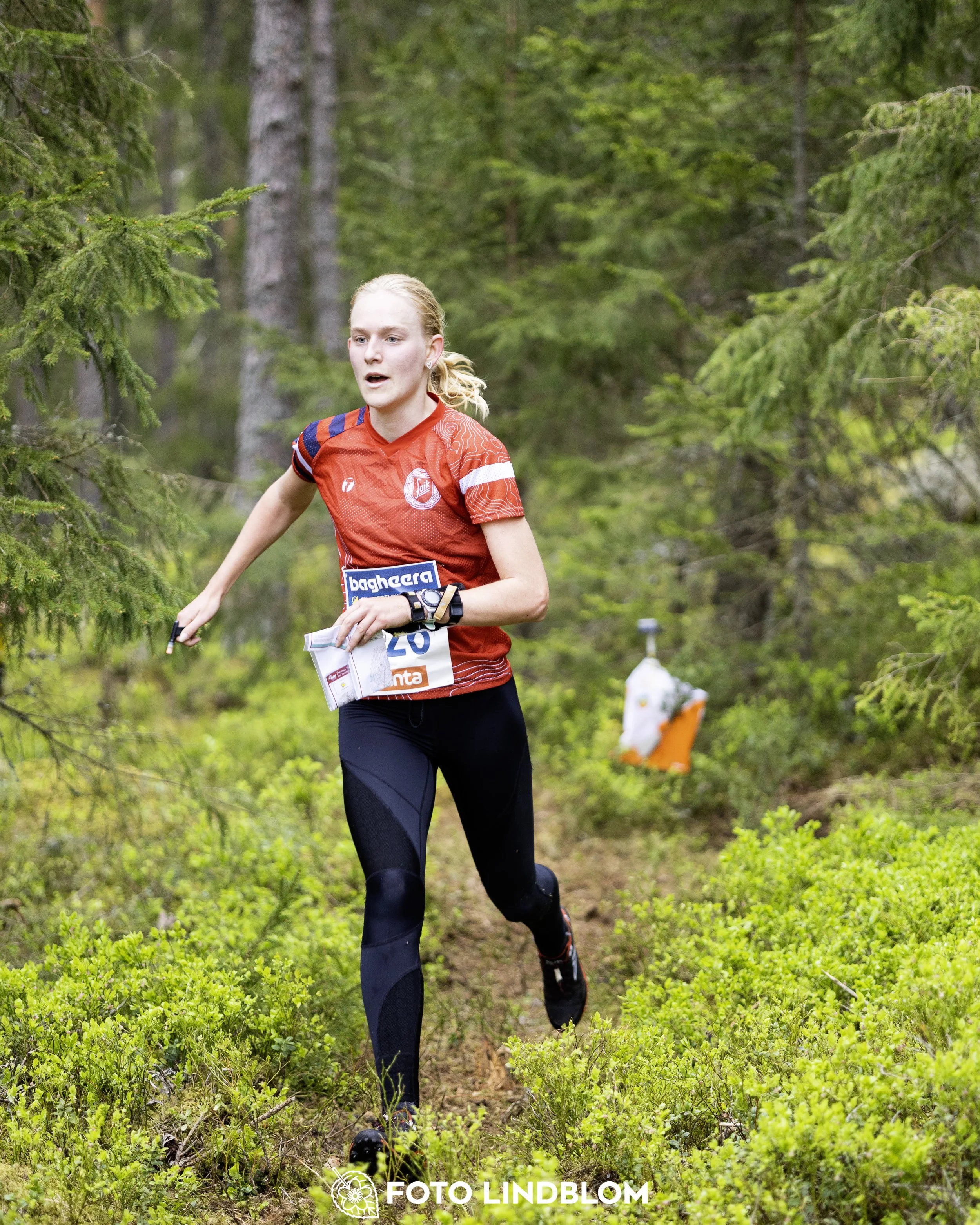 A picture from the Swedish national championship in middle distance orienteering and Swedish league race