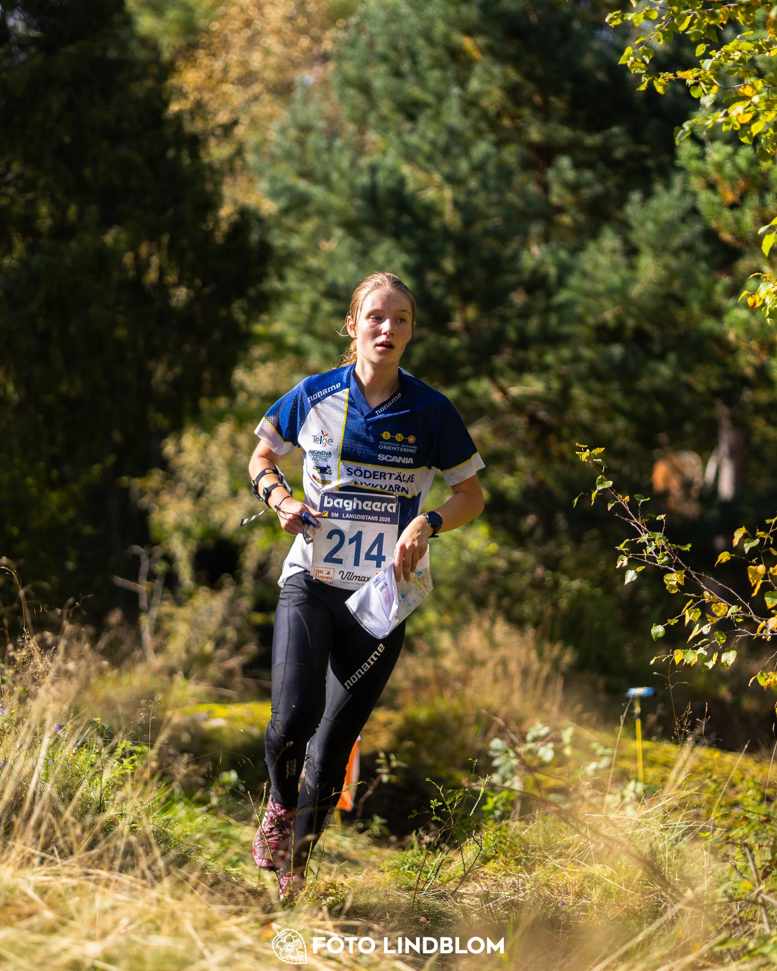 A picture from the Swedish national championship in long distance orienteering and Swedish league race taken by Foto Lindblom