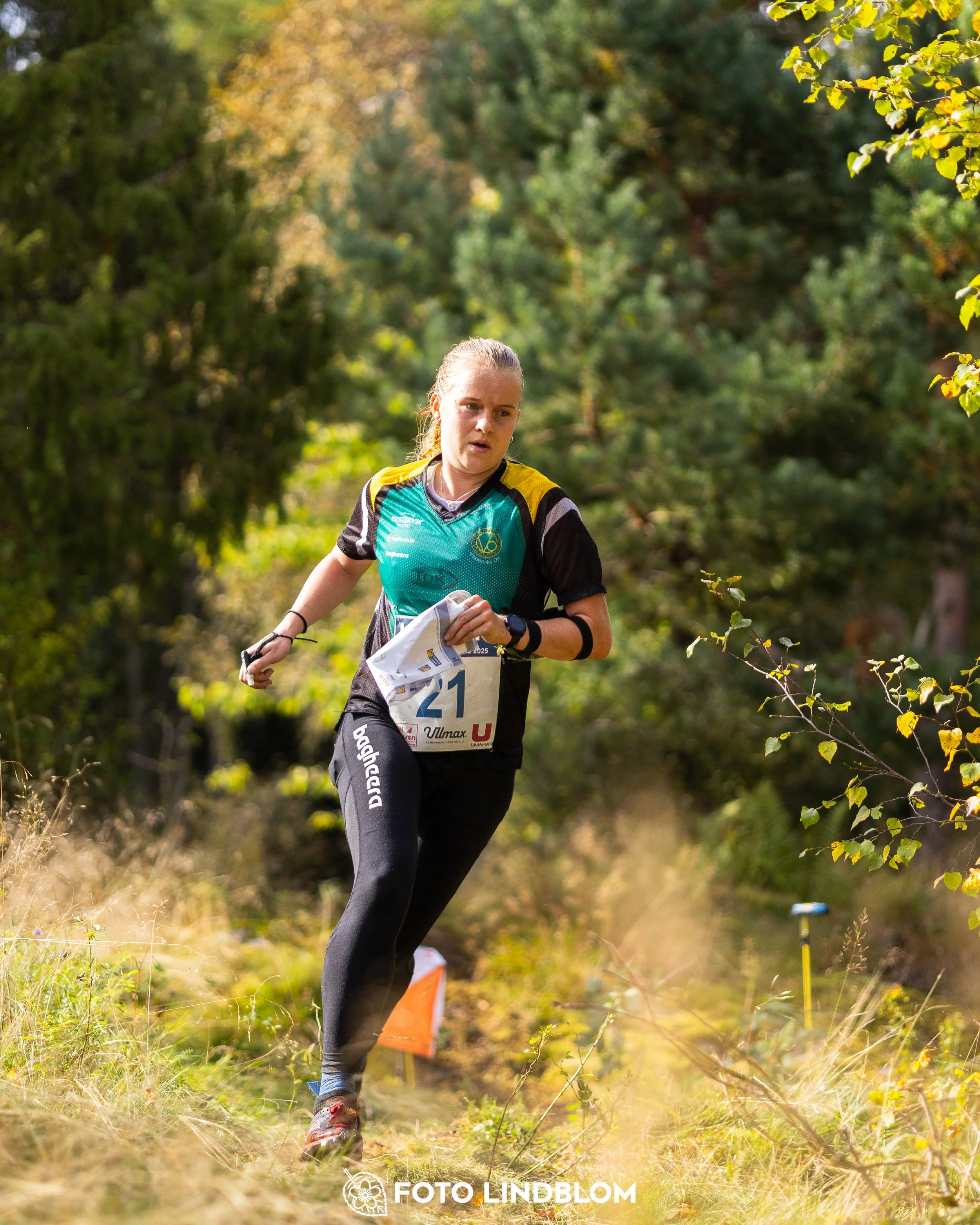A picture from the Swedish national championship in long distance orienteering and Swedish league race taken by Foto Lindblom