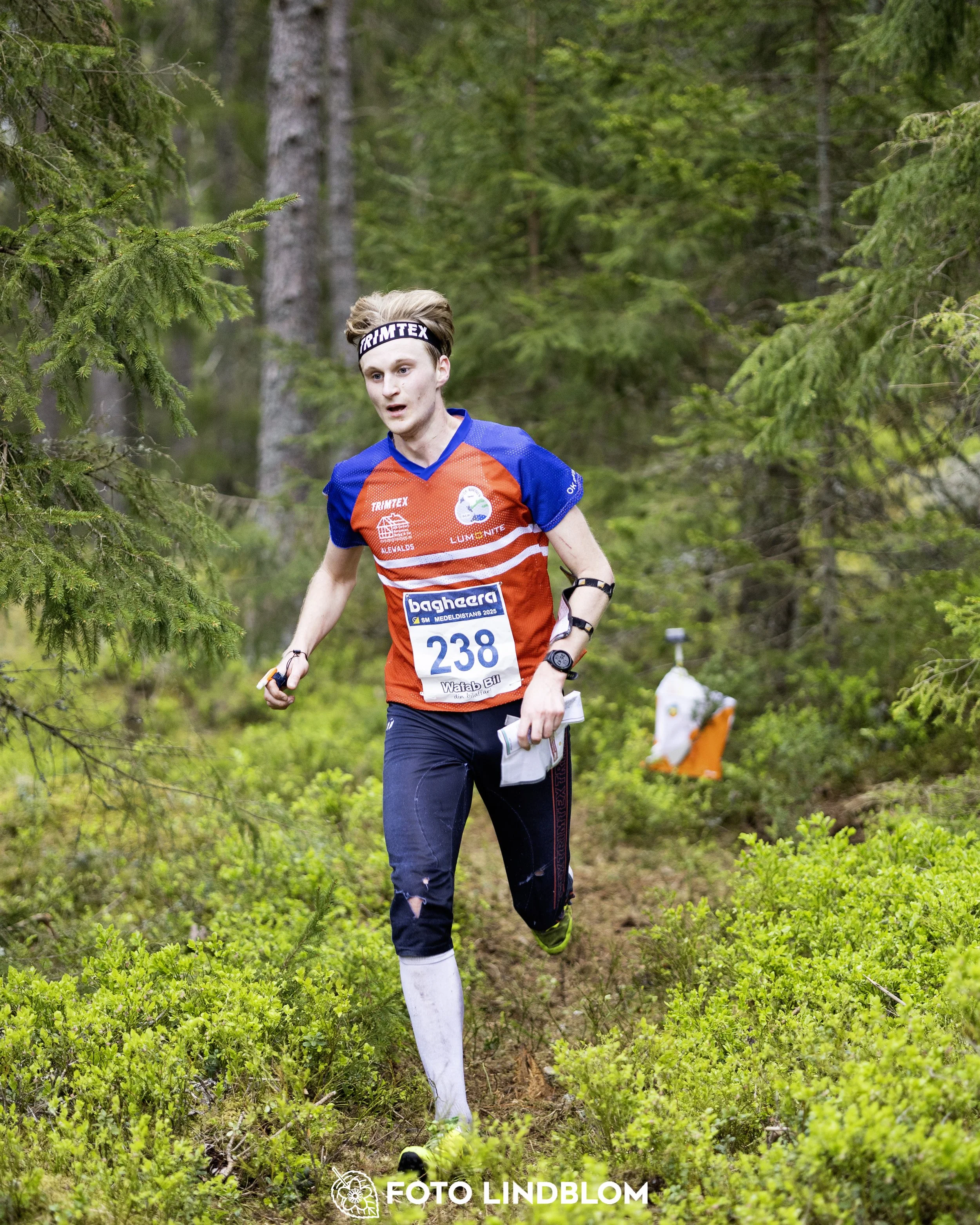A picture from the Swedish national championship in middle distance orienteering and Swedish league race