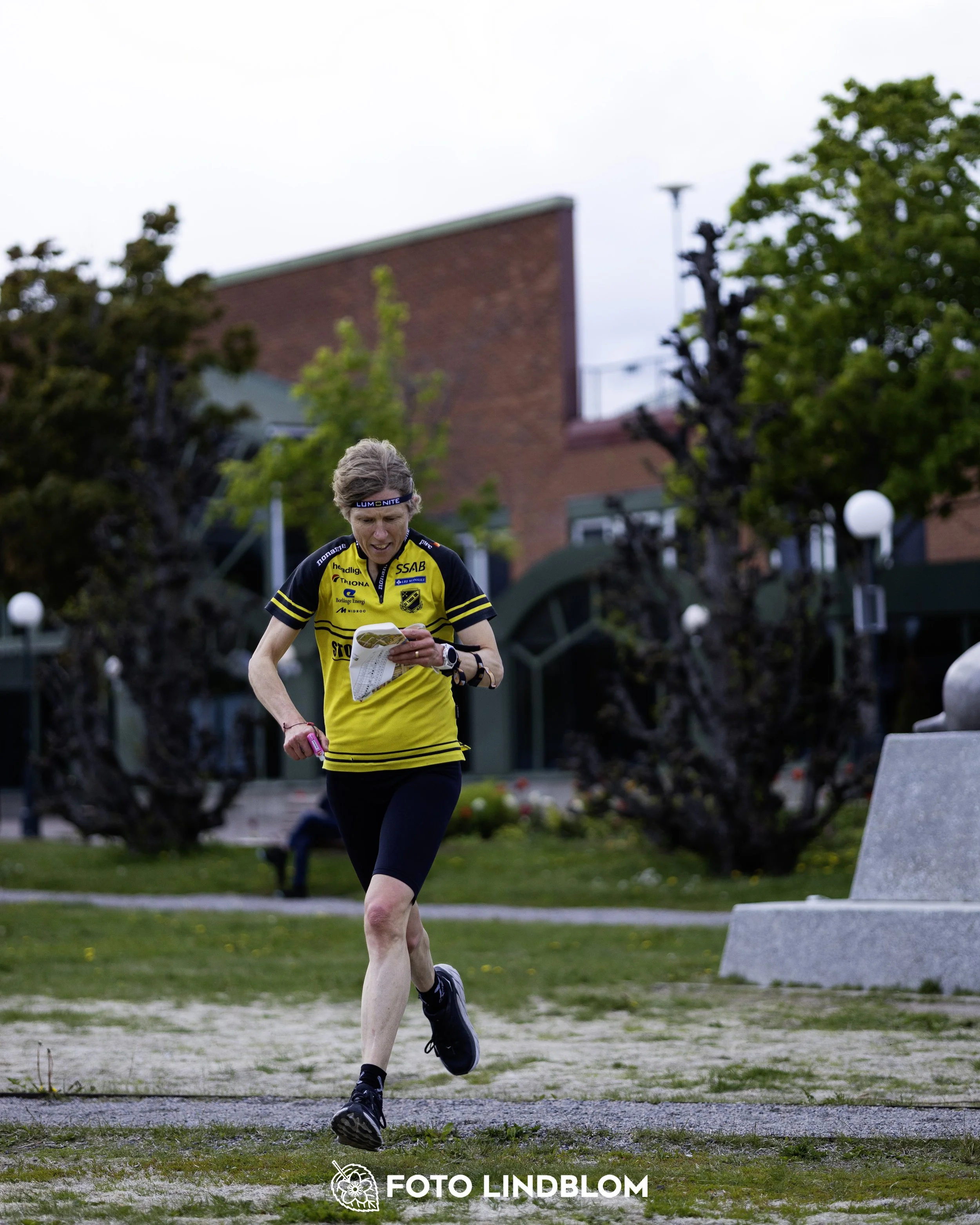 A picture from the fifth stage of the Swedish League orienteering competition
