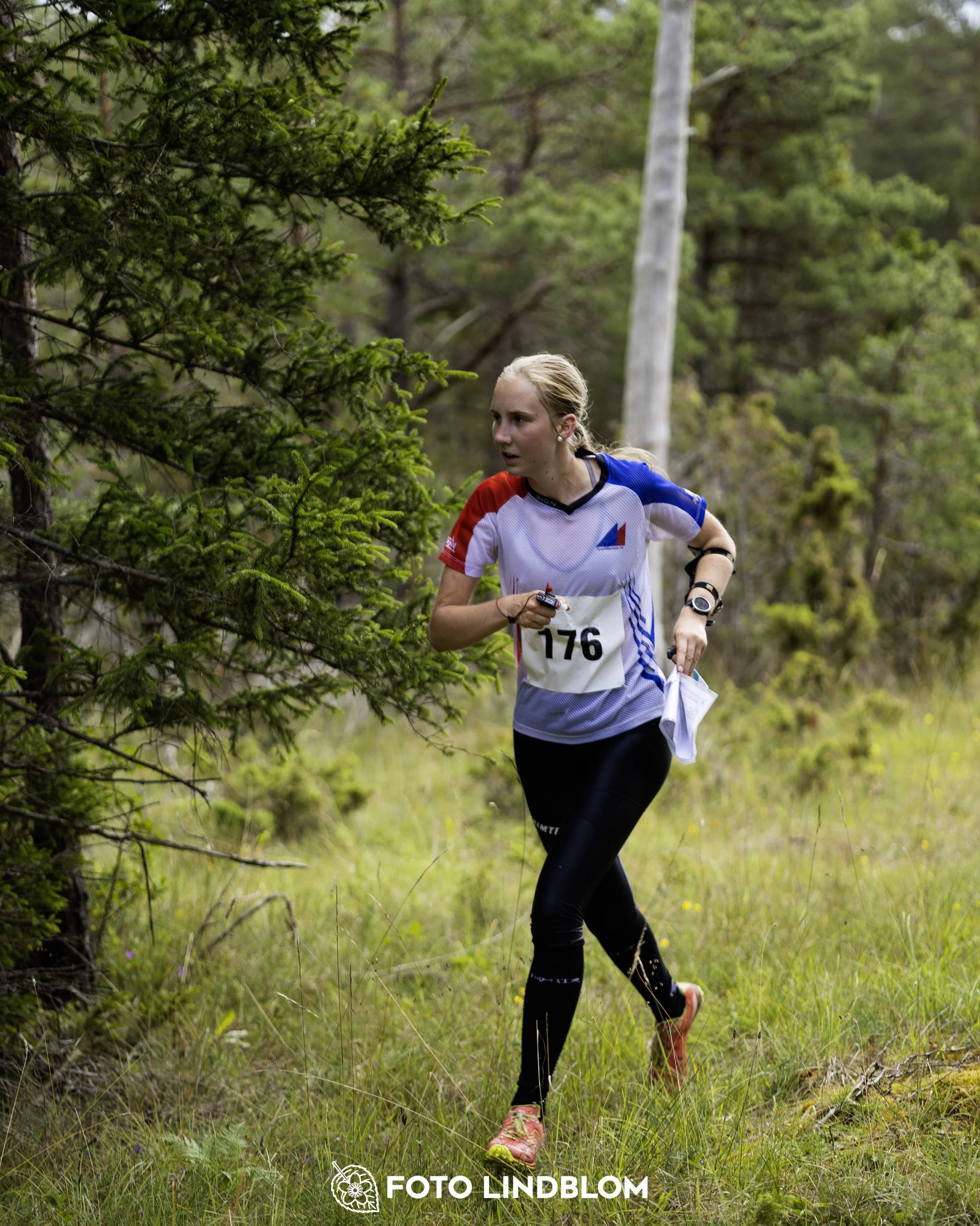 A picture from the Gotlands 2-Dagars orienteering competition