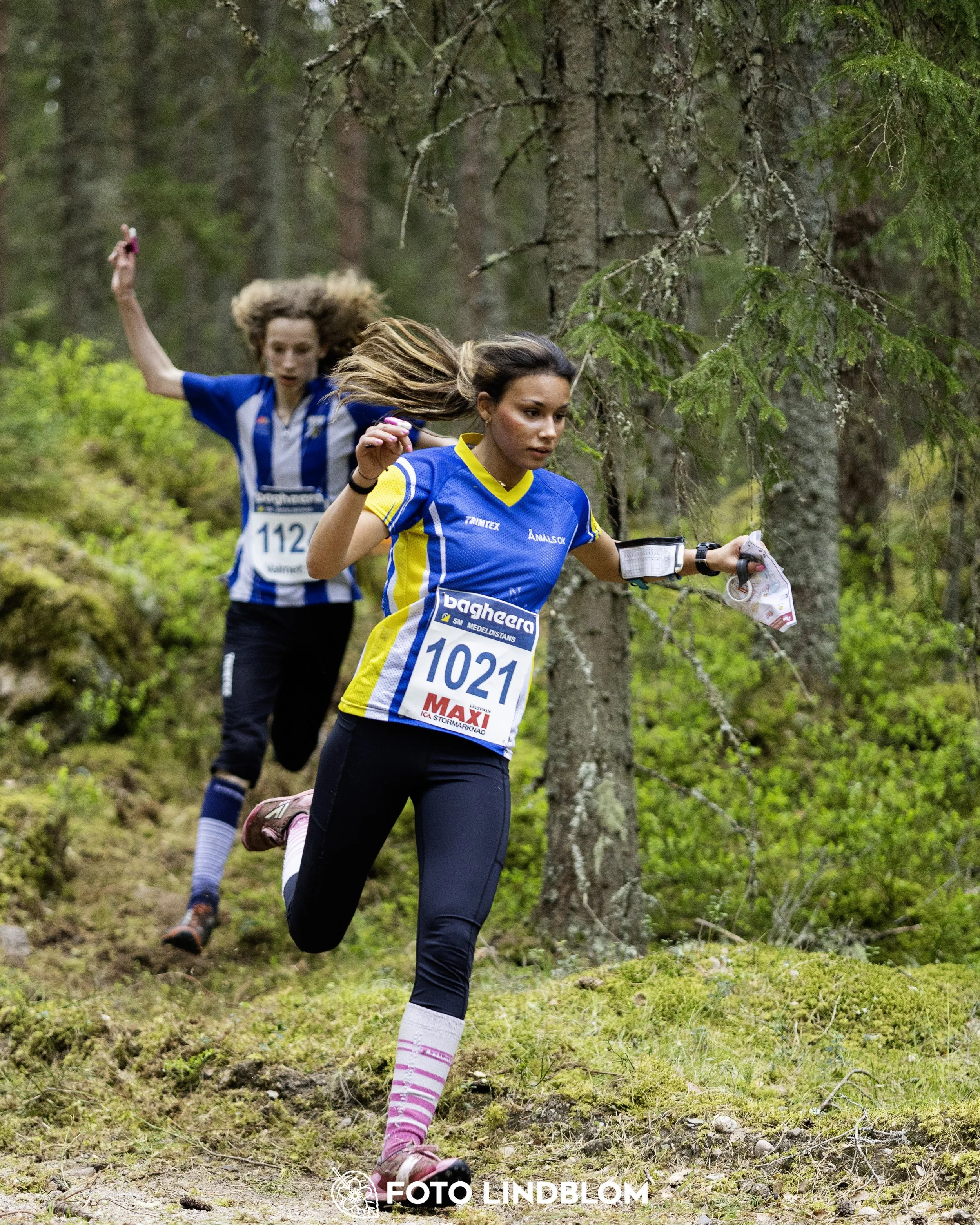 A picture from the Swedish national championship in middle distance orienteering and Swedish league race