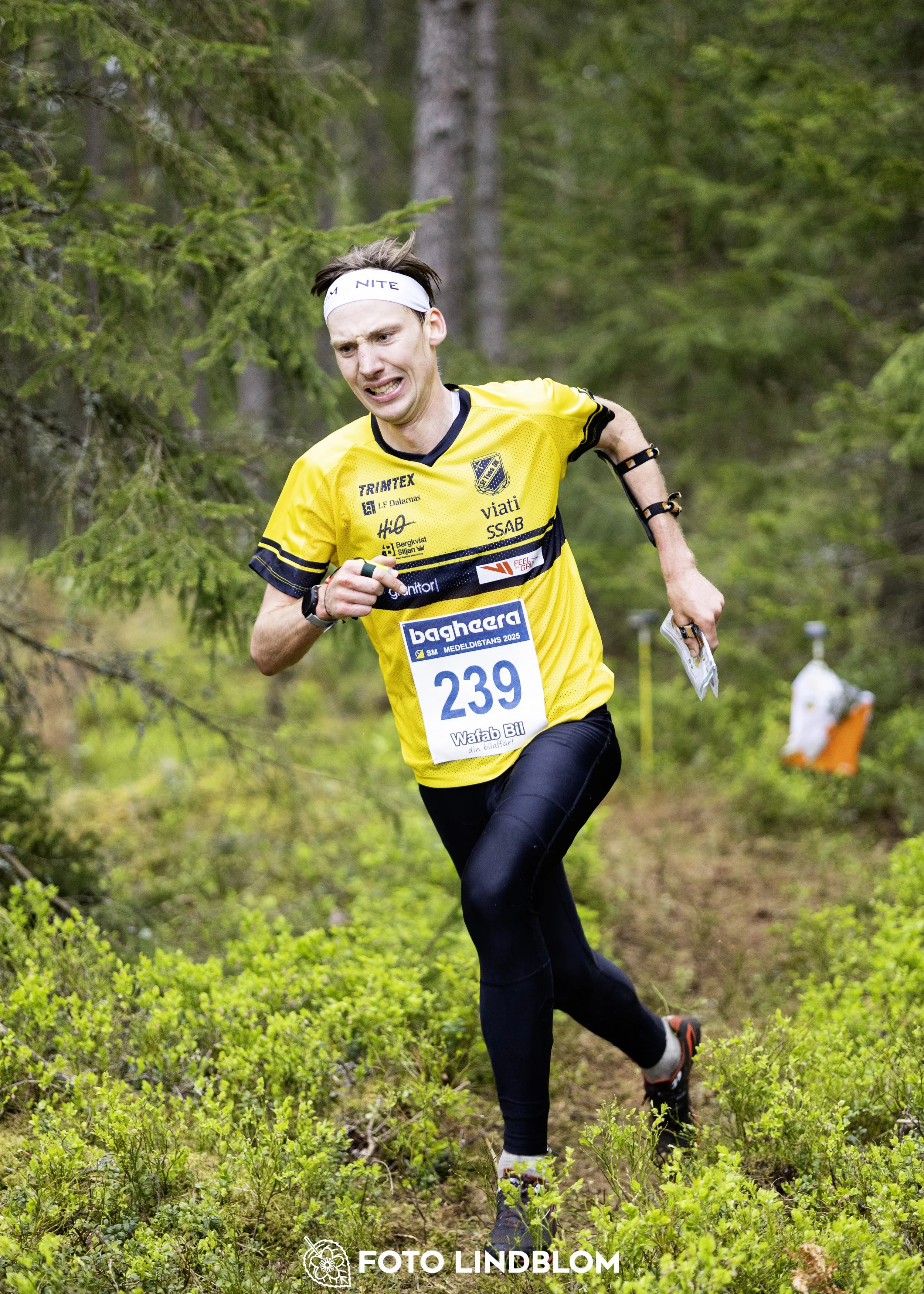 A picture from the Swedish national championship in middle distance orienteering and Swedish league race