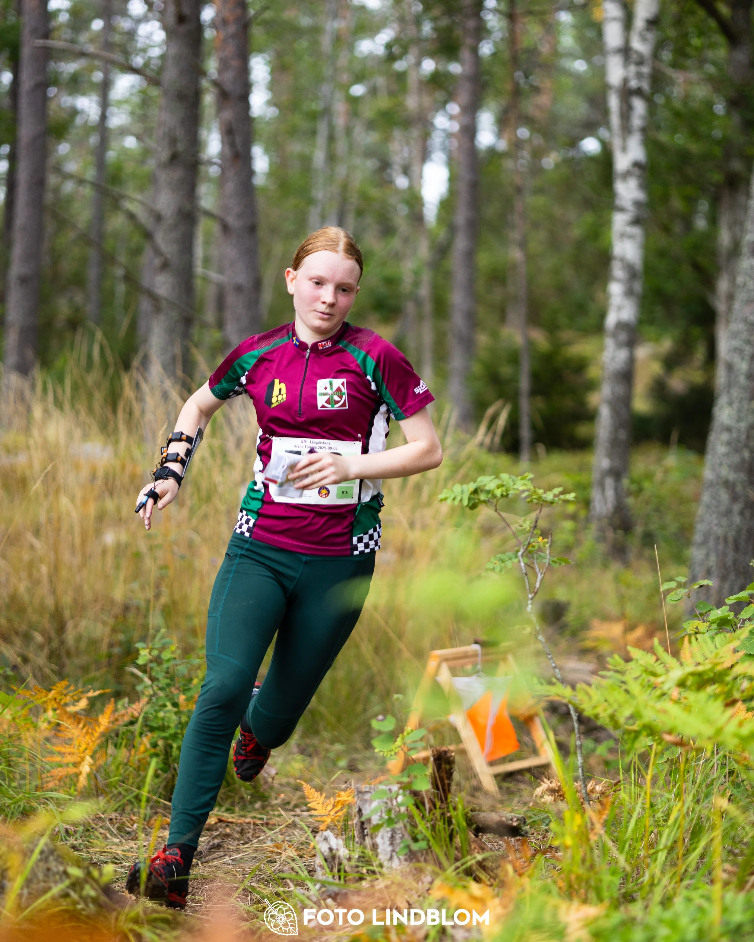 A picture from the Stockholm district championship in middle distance orienteering taken by Foto Lindblom