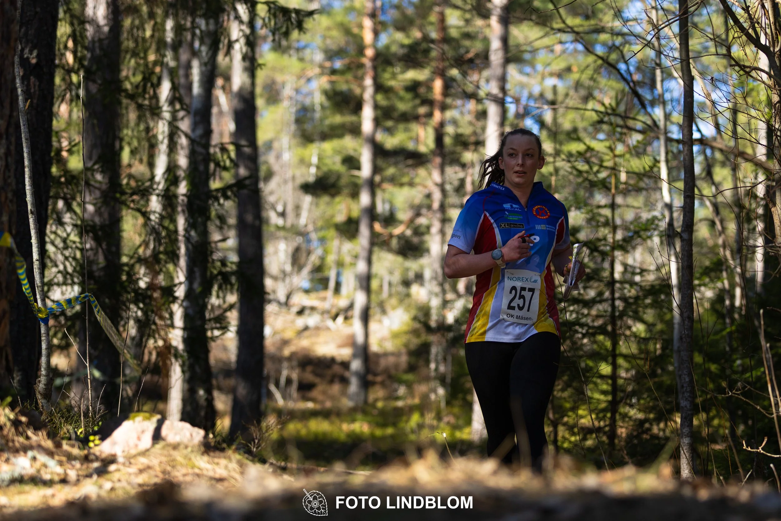 Image from Måsenstafetten 2026 showing orienteering relay teams competing in Swedish forest terrain, taken by Foto Lindblom.