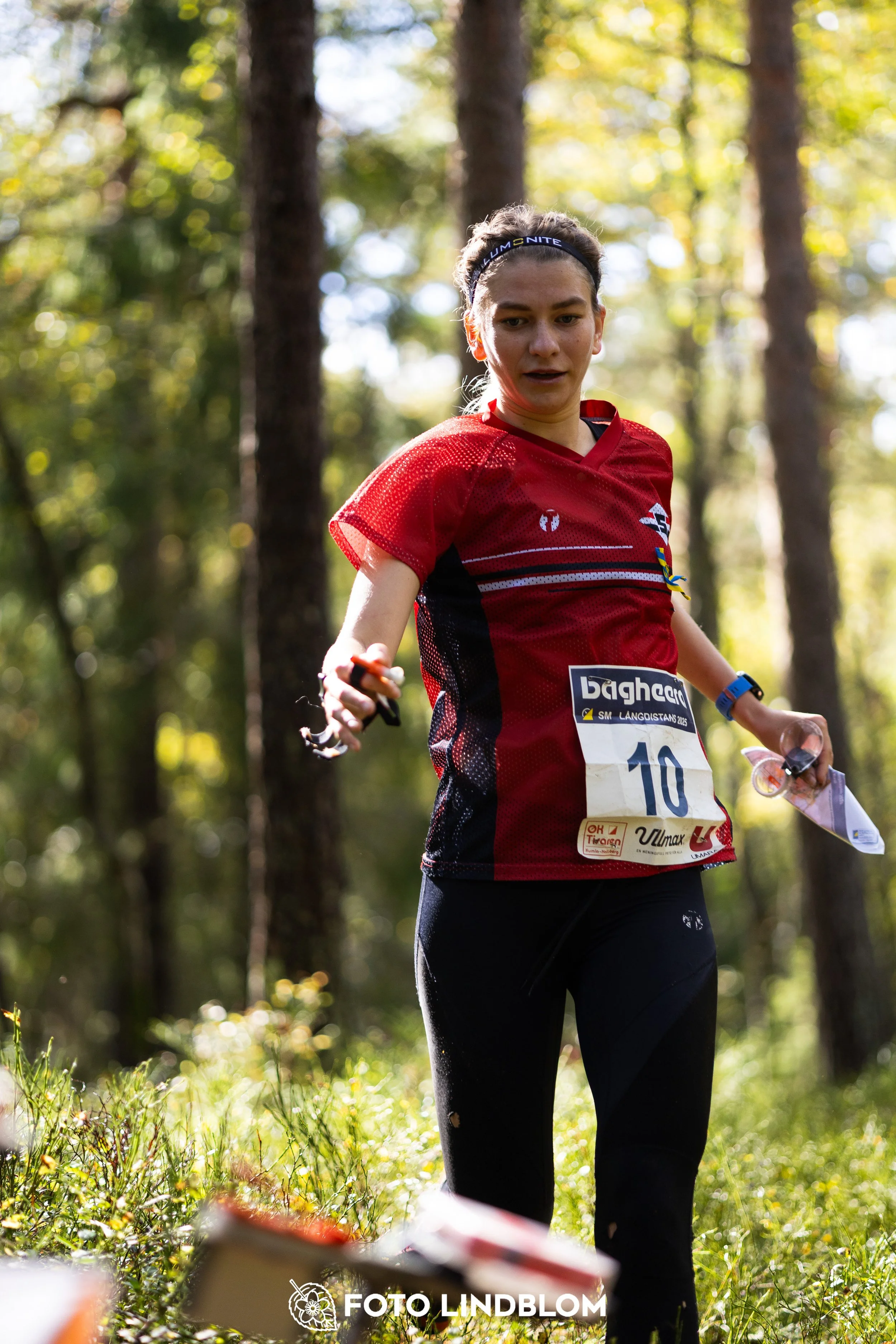 A picture from the Swedish national championship in long distance orienteering and Swedish league race taken by Foto Lindblom