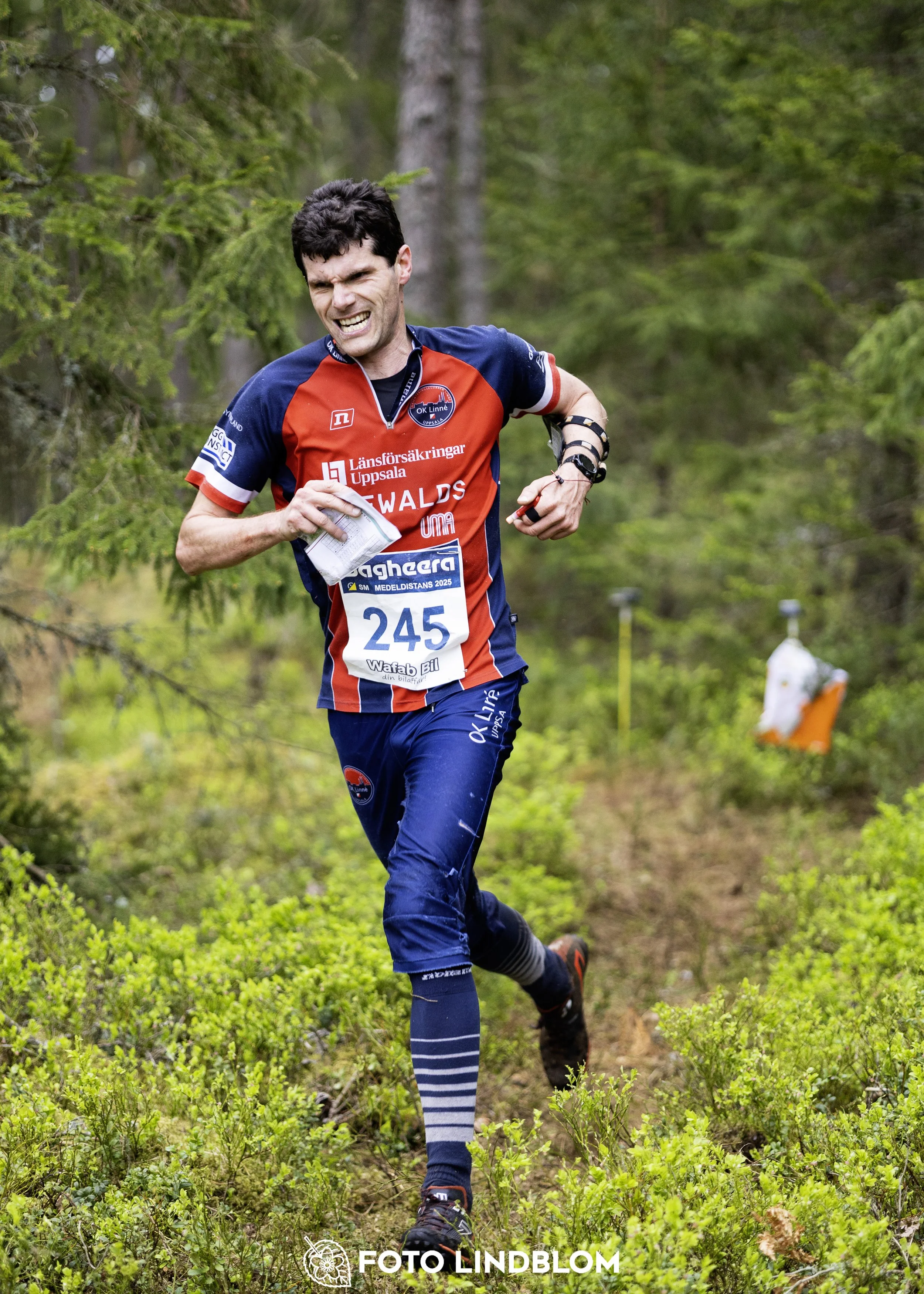 A picture from the Swedish national championship in middle distance orienteering and Swedish league race