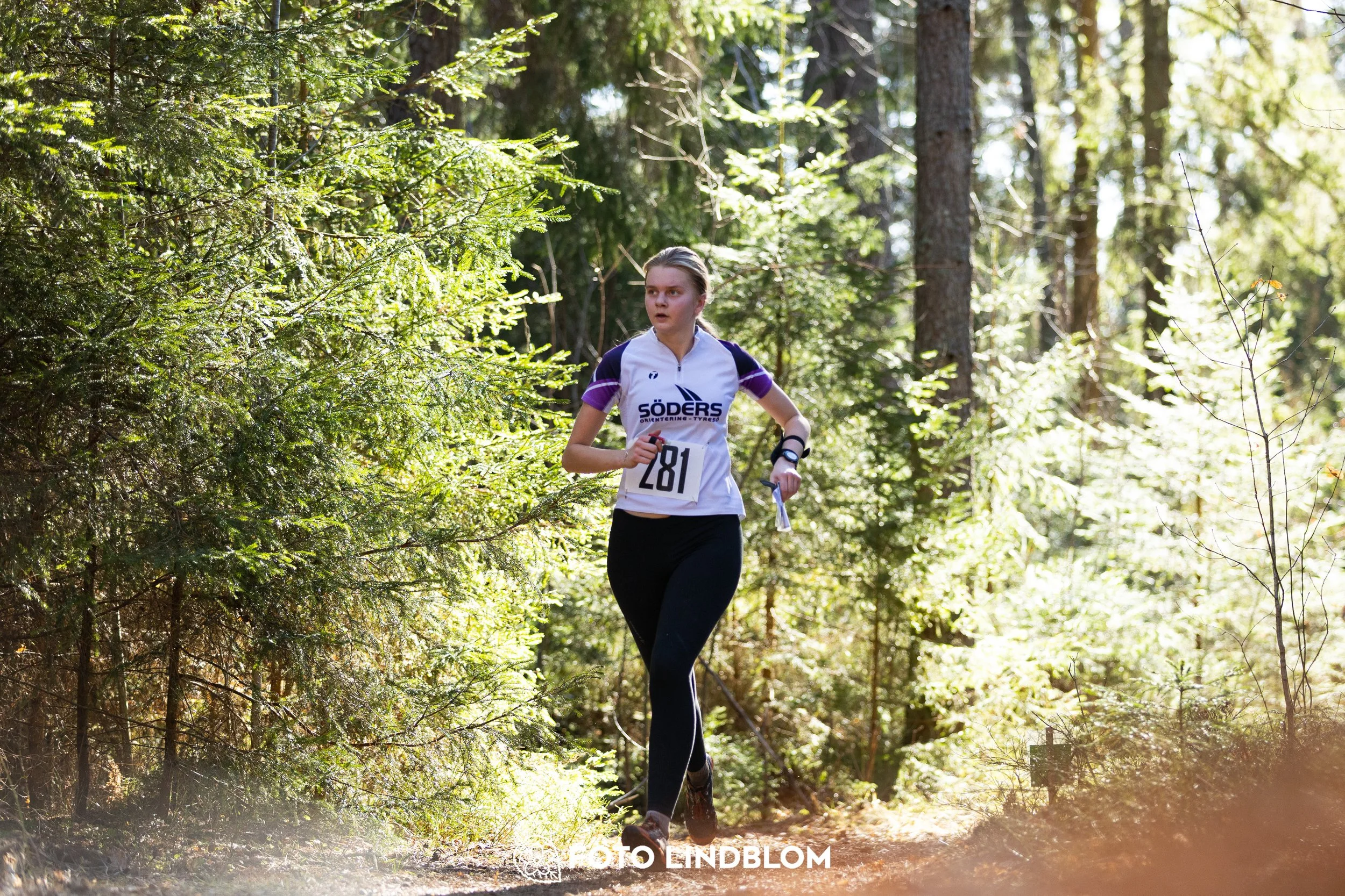 Orienteering in forest terrain at Nyköpingsorienteringen 2026, photographed by Foto Lindblom.