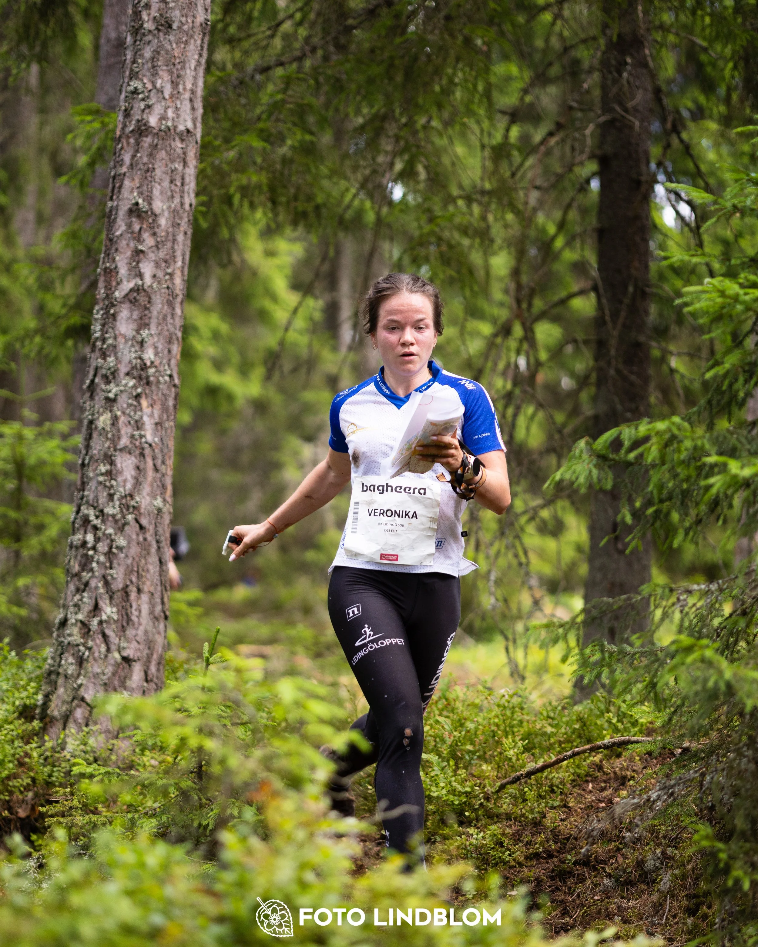 A picture from the second stage of Oringen 2025