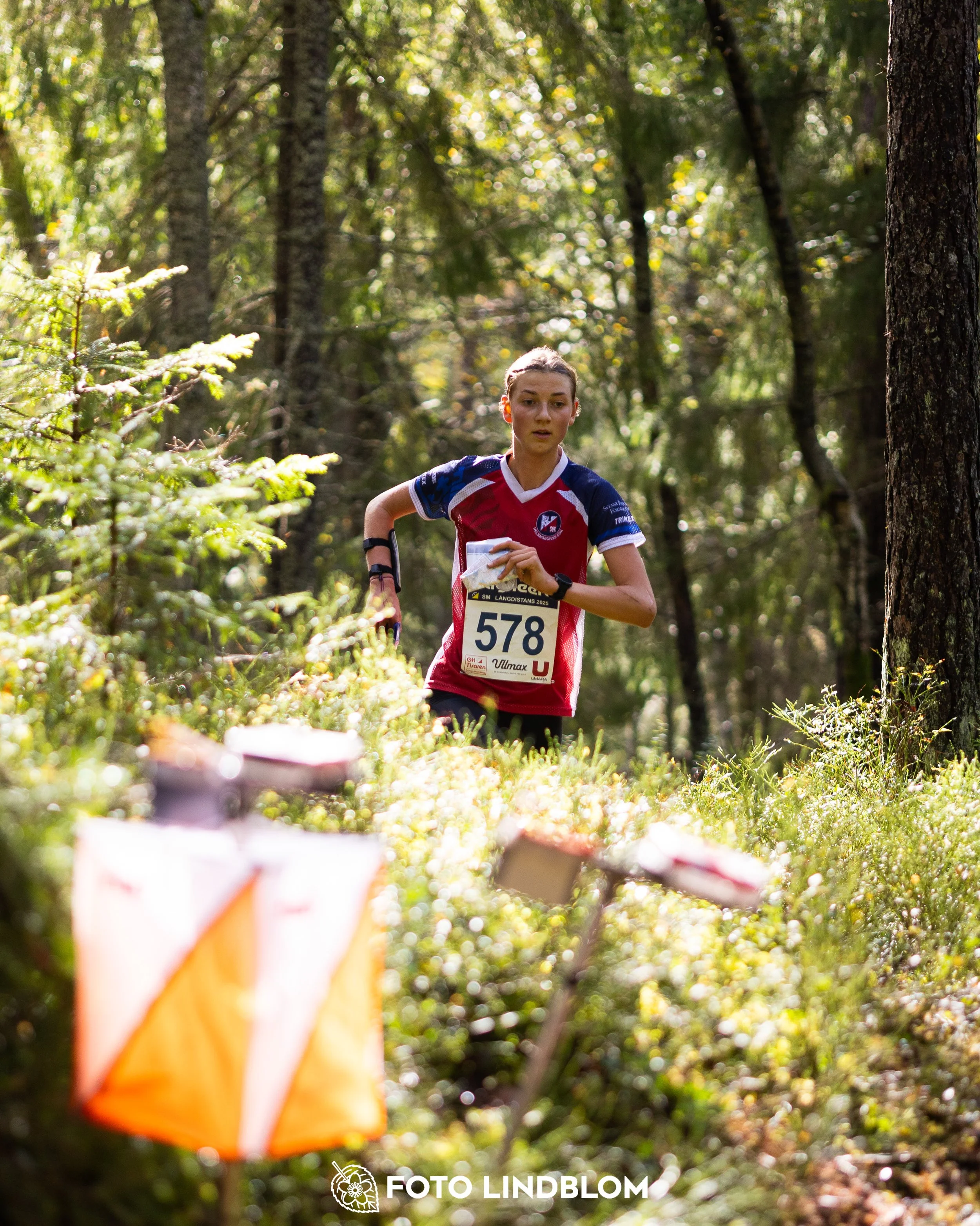 A picture from the Swedish national championship in long distance orienteering and Swedish league race taken by Foto Lindblom