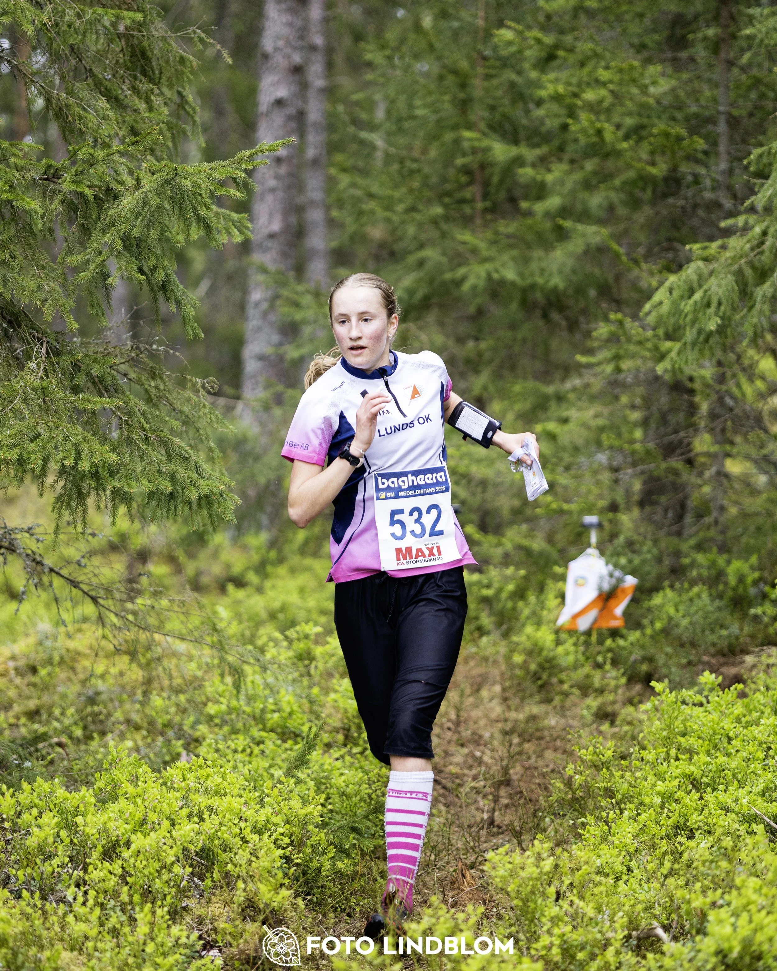 A picture from the Swedish national championship in middle distance orienteering and Swedish league race
