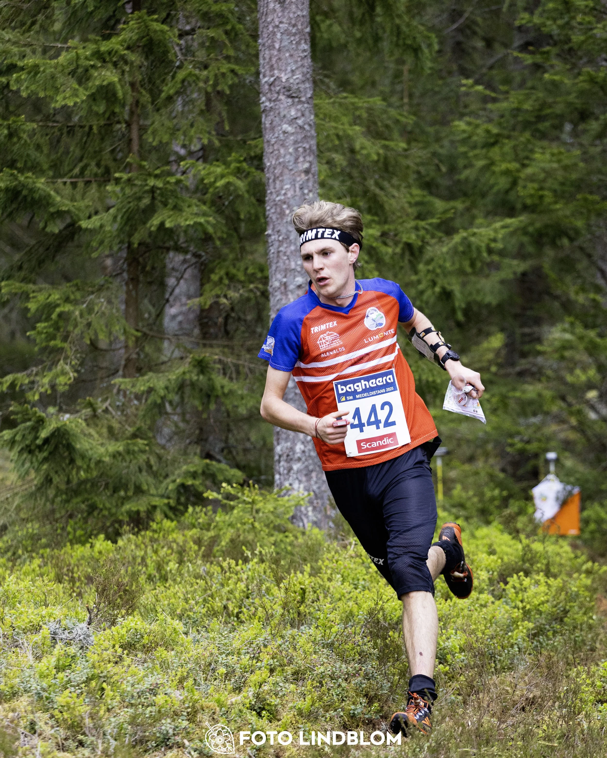 A picture from the Swedish national championship in middle distance orienteering and Swedish league race
