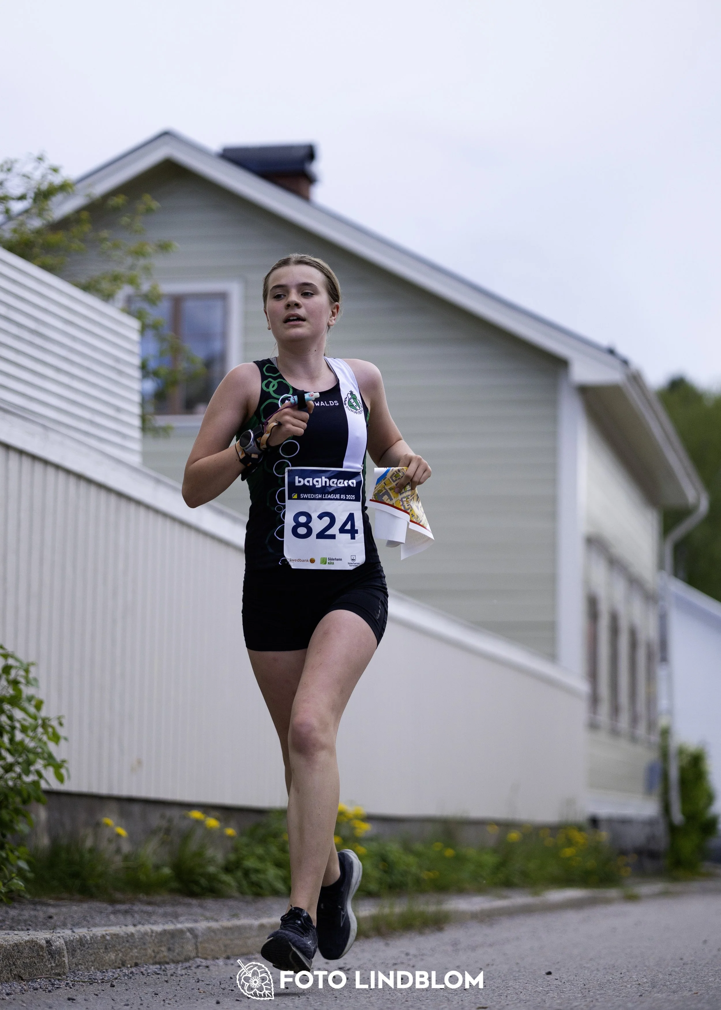 A picture from the fifth stage of the Swedish League orienteering competition