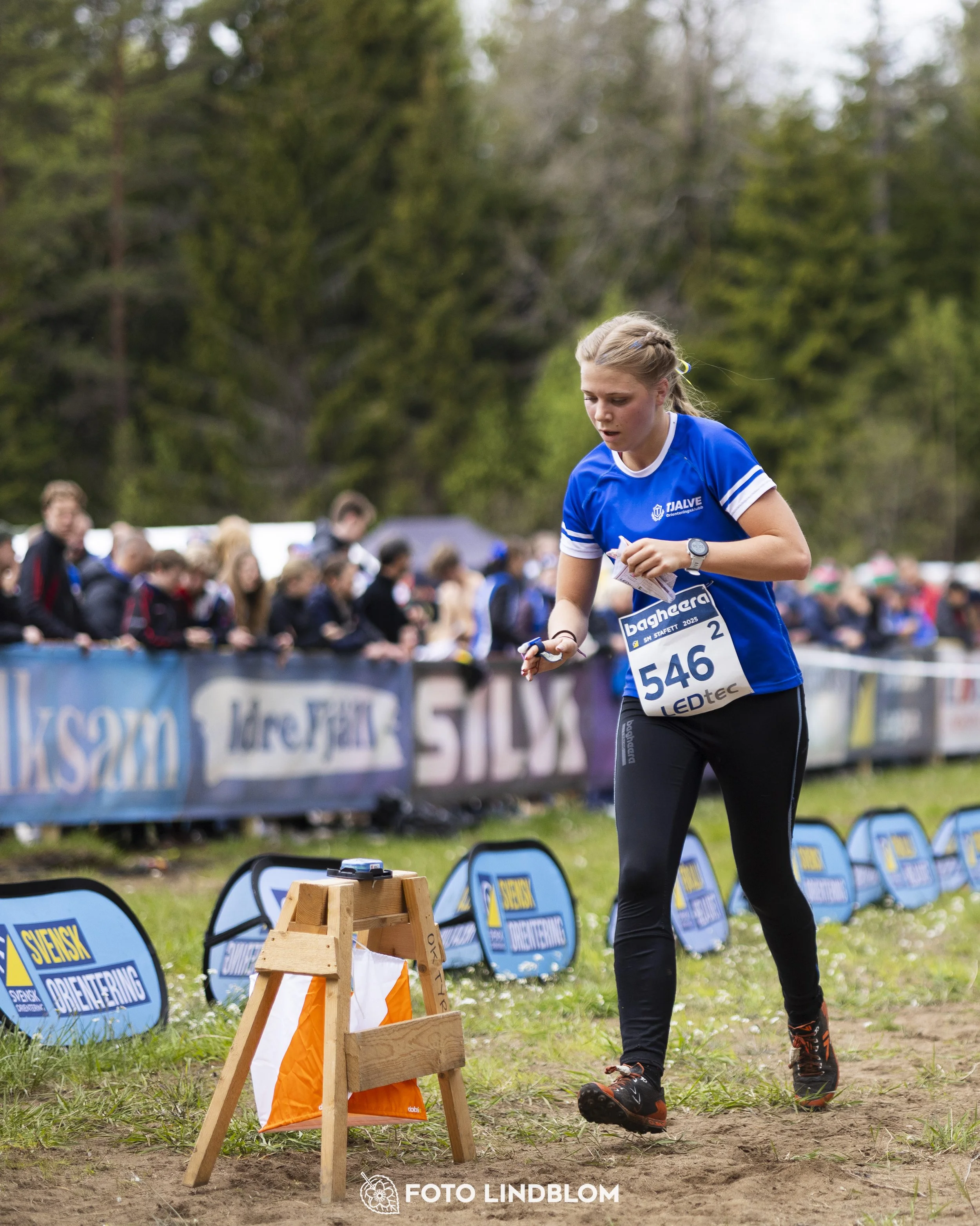 A picture from the Swedish national championship in relay orienteering