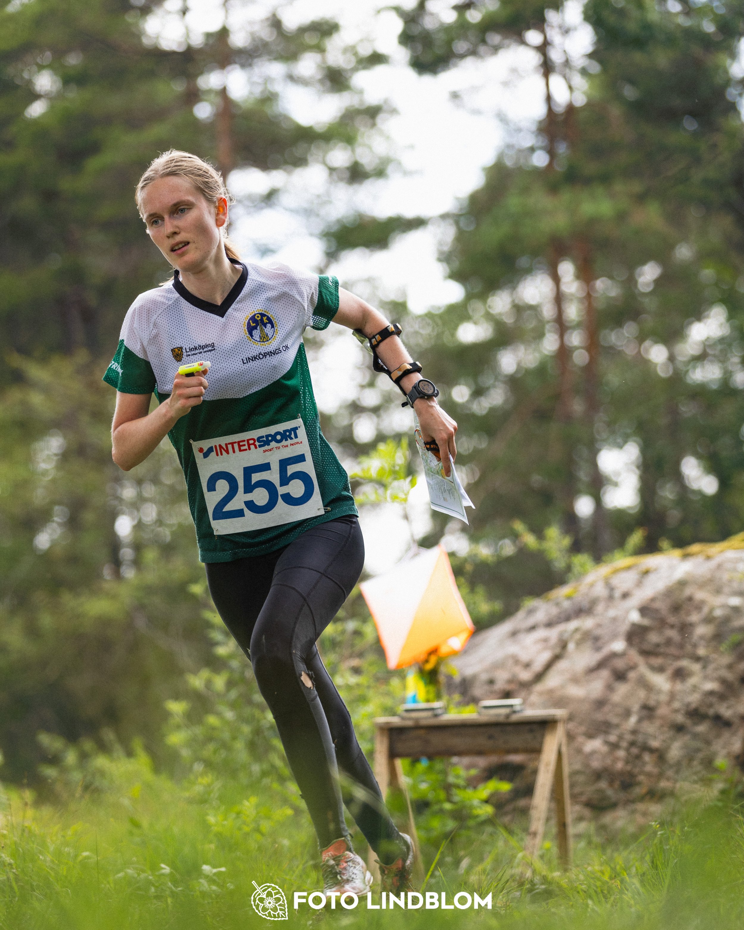 260704-Gotlands_2dagars-183.jpg