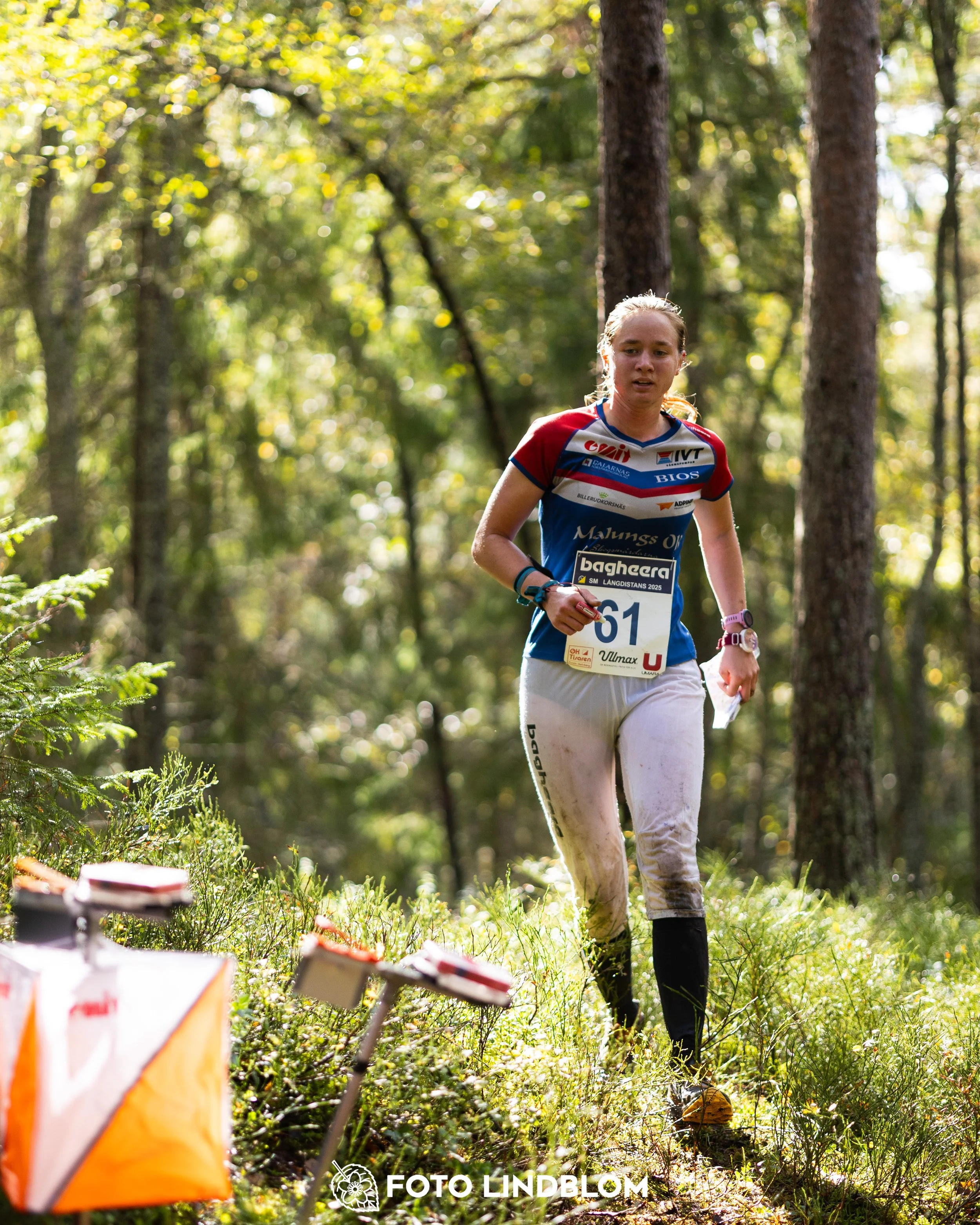 A picture from the Swedish national championship in long distance orienteering and Swedish league race taken by Foto Lindblom