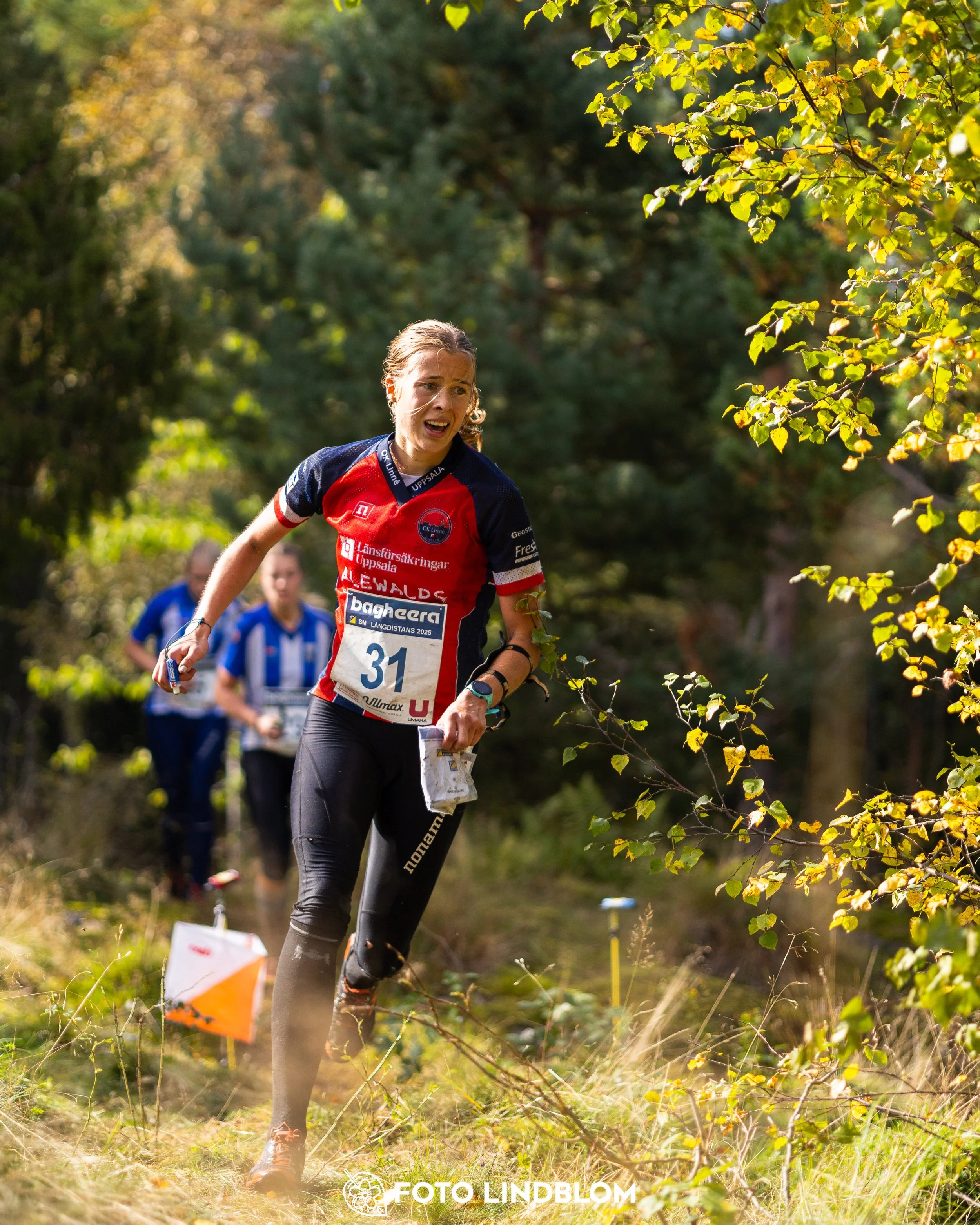 A picture from the Swedish national championship in long distance orienteering and Swedish league race taken by Foto Lindblom