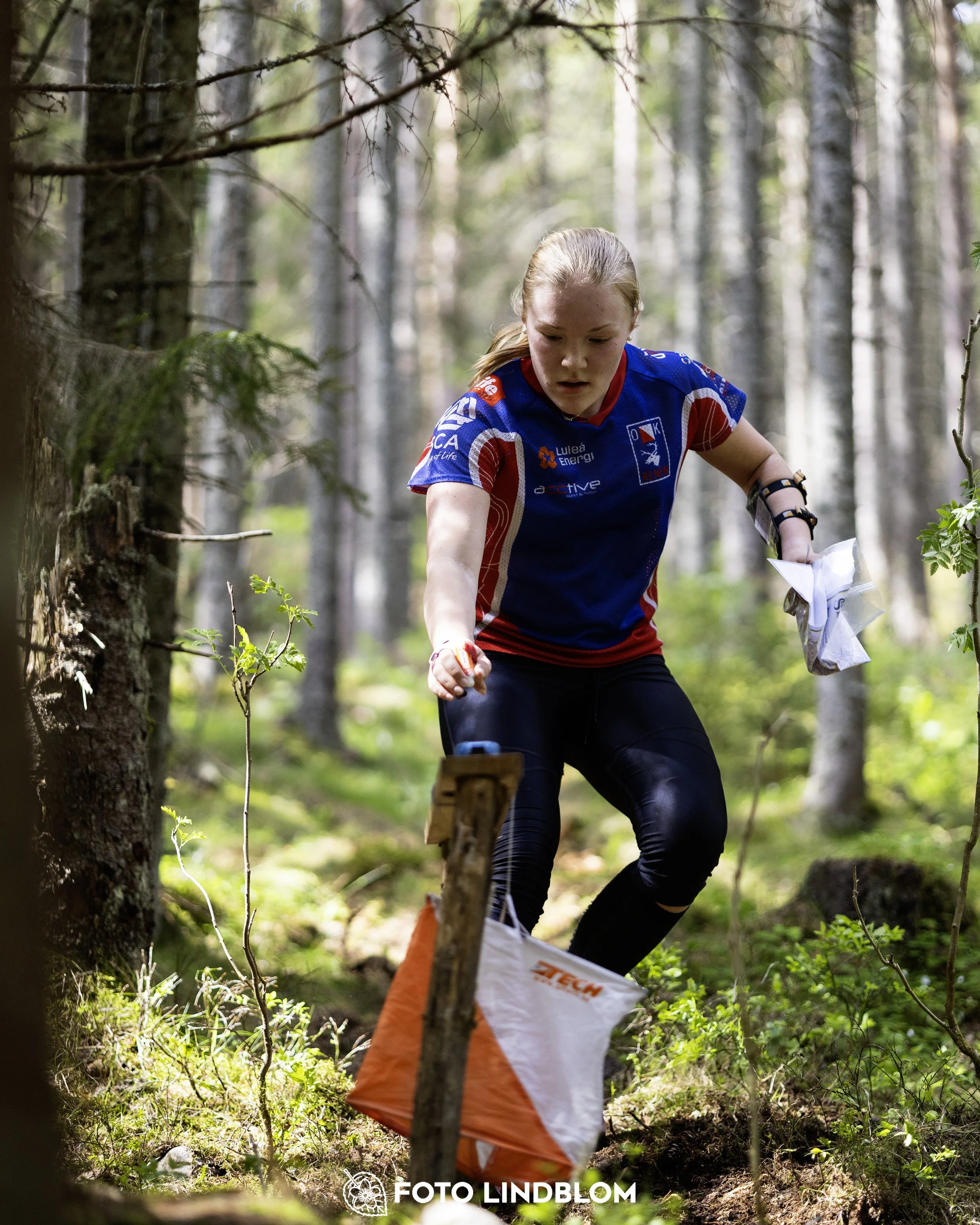 A picture from the seventh stage of the Swedish League orienteering competition
