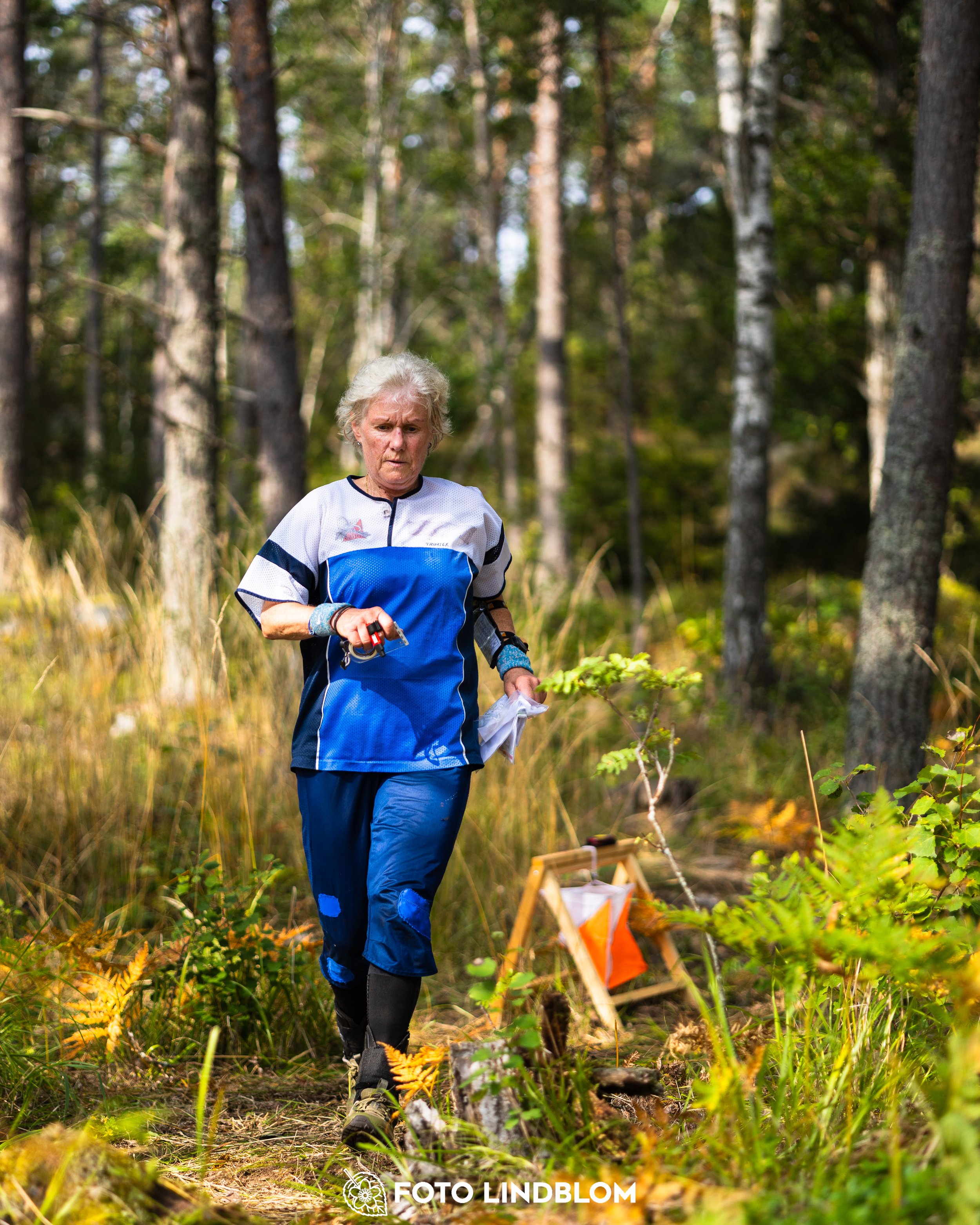 A picture from the Stockholm district championship in middle distance orienteering taken by Foto Lindblom