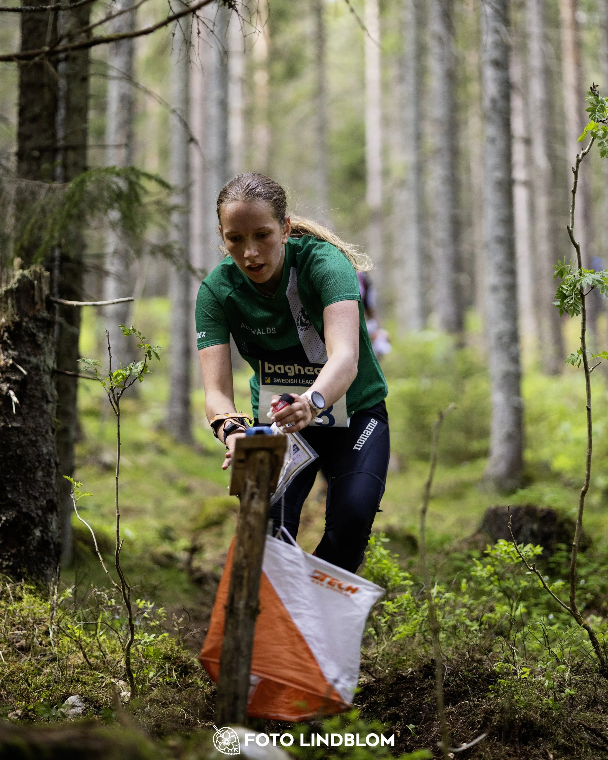 A picture from the seventh stage of the Swedish League orienteering competition