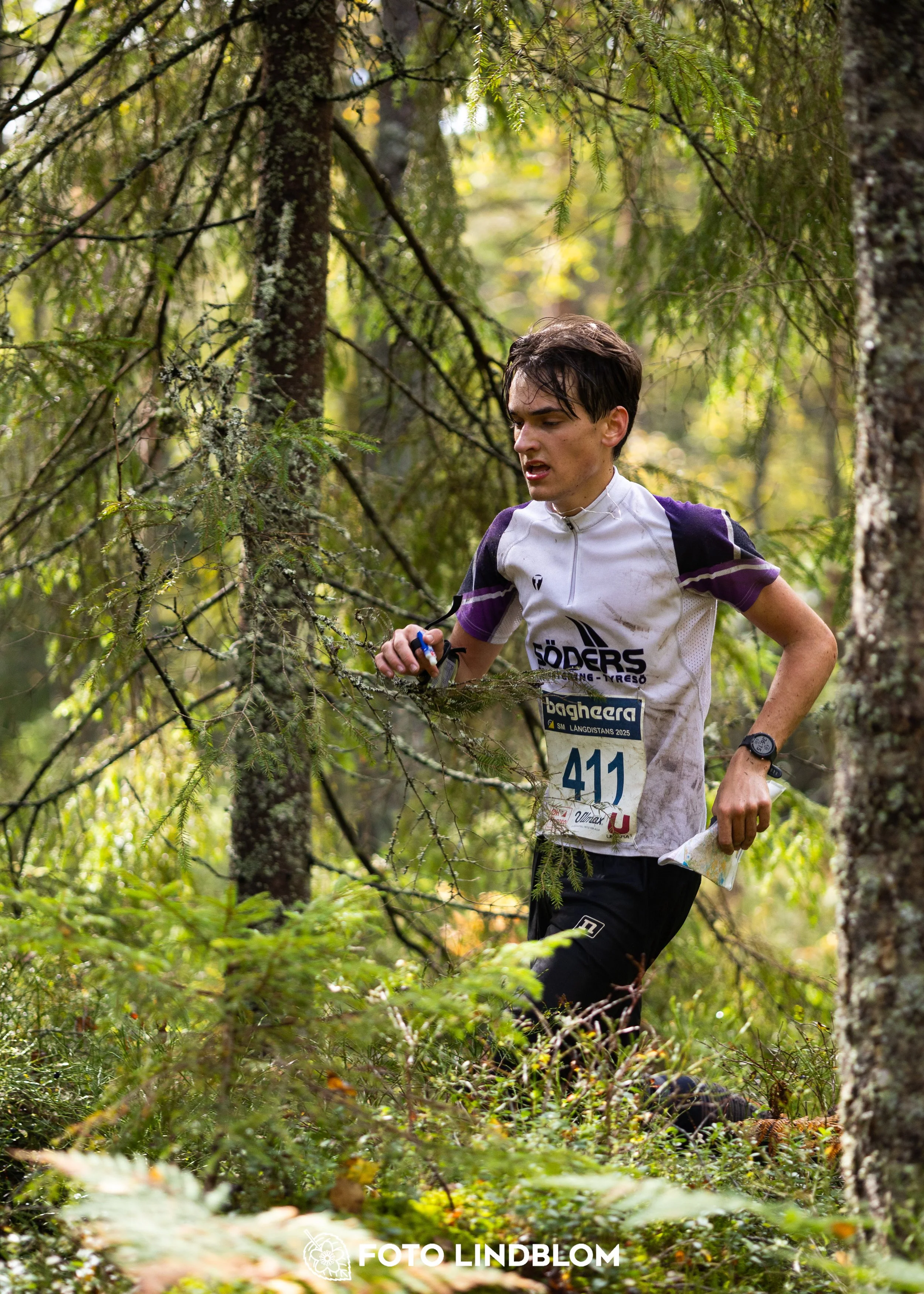 A picture from the Swedish national championship in long distance orienteering and Swedish league race taken by Foto Lindblom