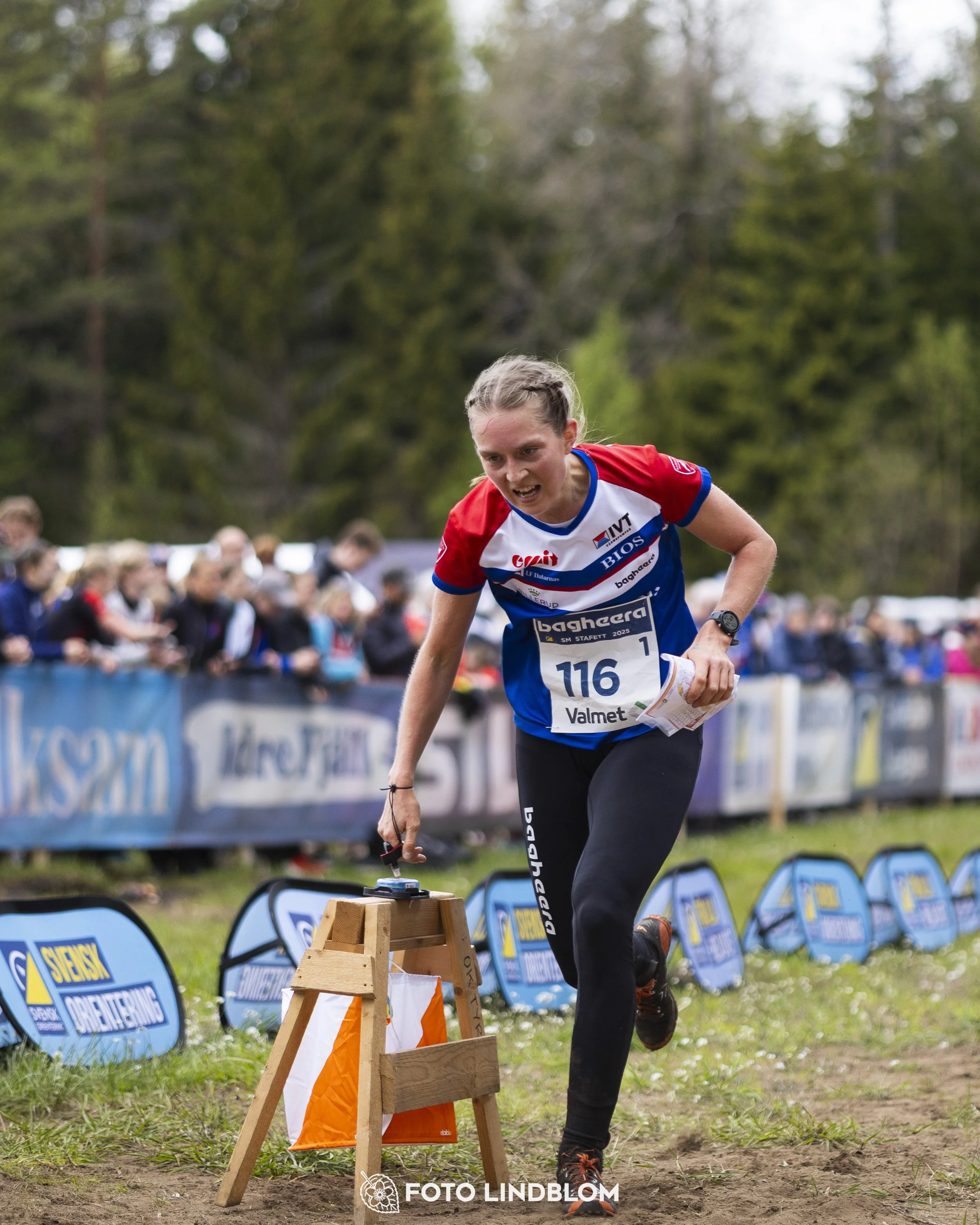 A picture from the Swedish national championship in relay orienteering