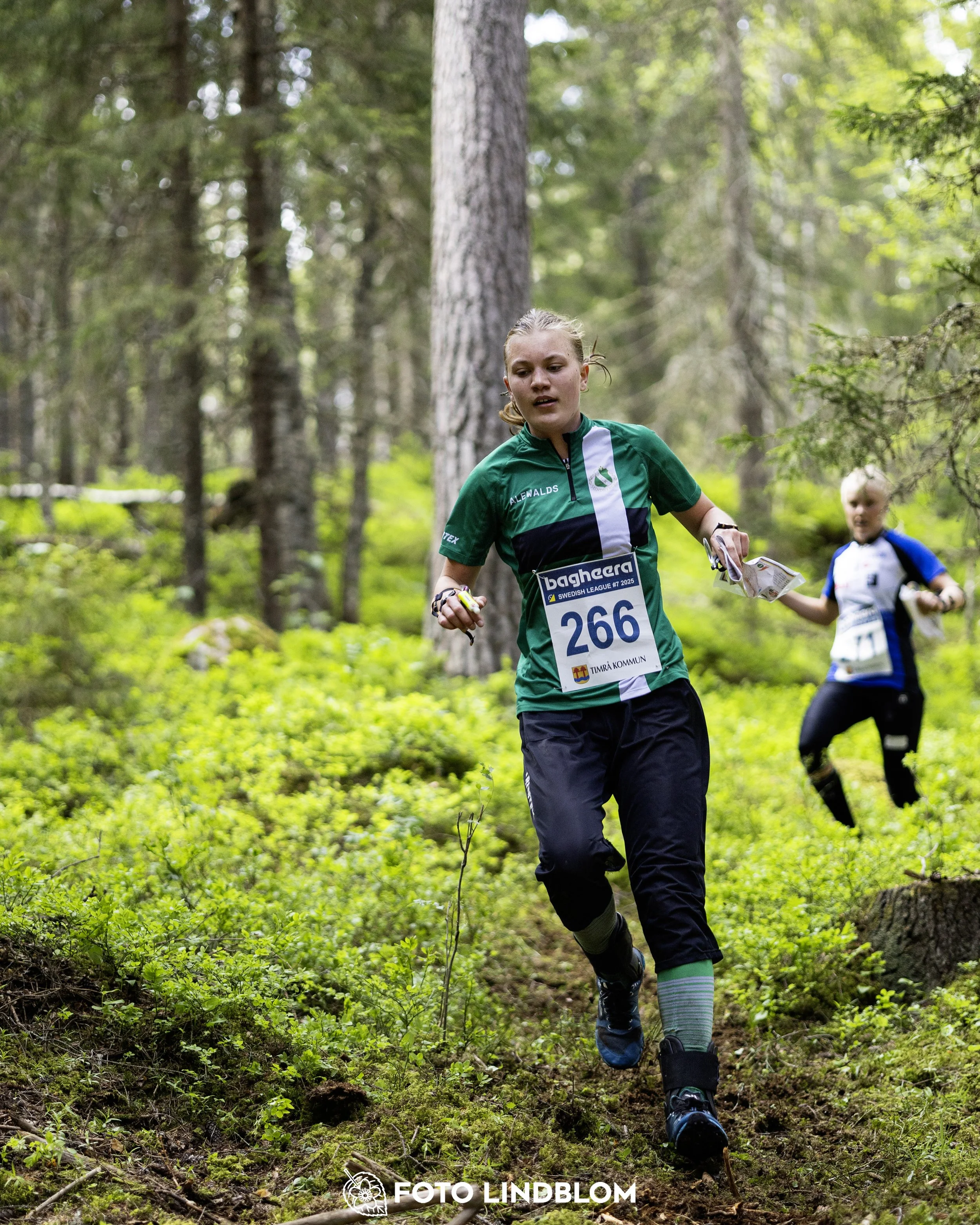 A picture from the seventh stage of the Swedish League orienteering competition