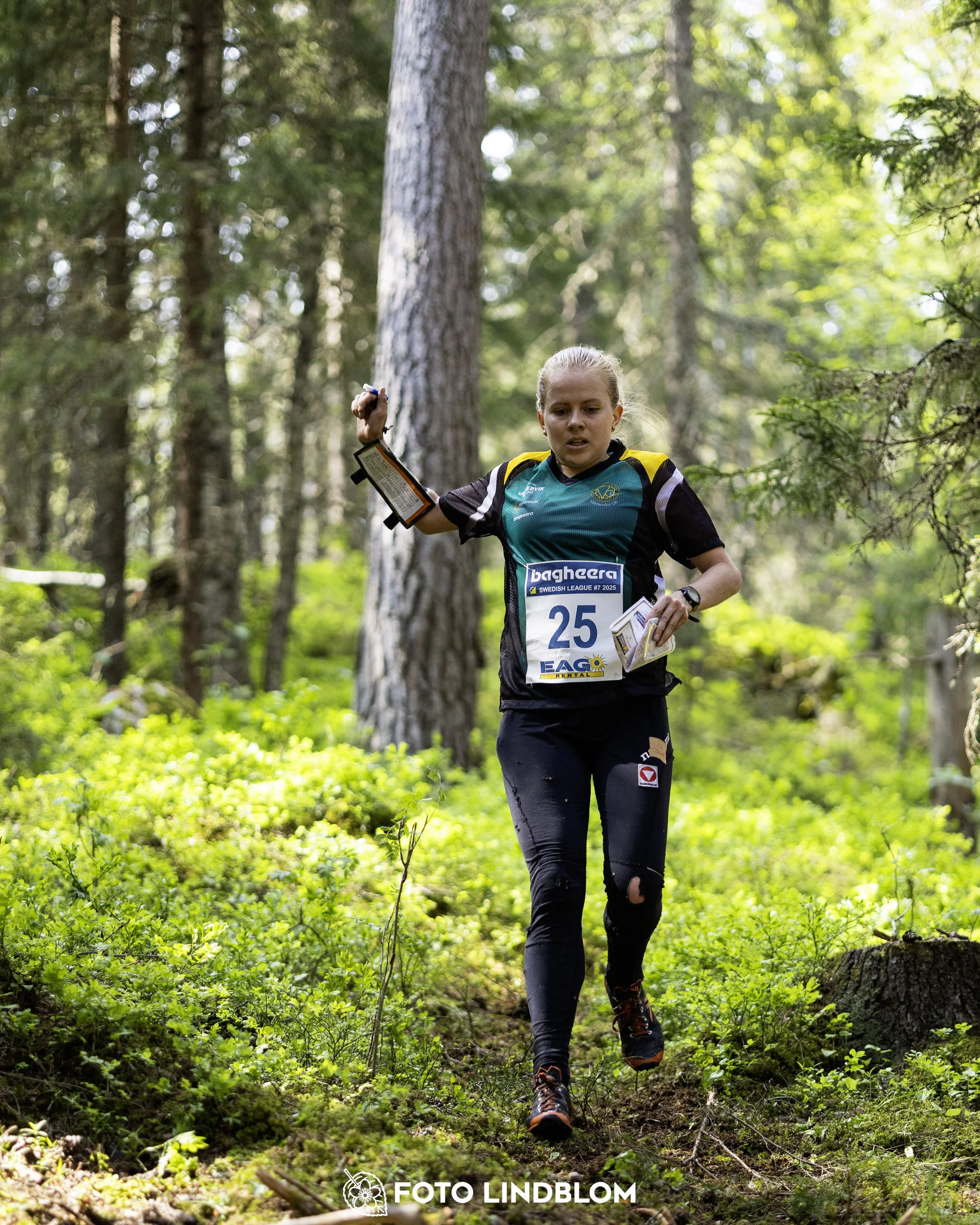 A picture from the seventh stage of the Swedish League orienteering competition