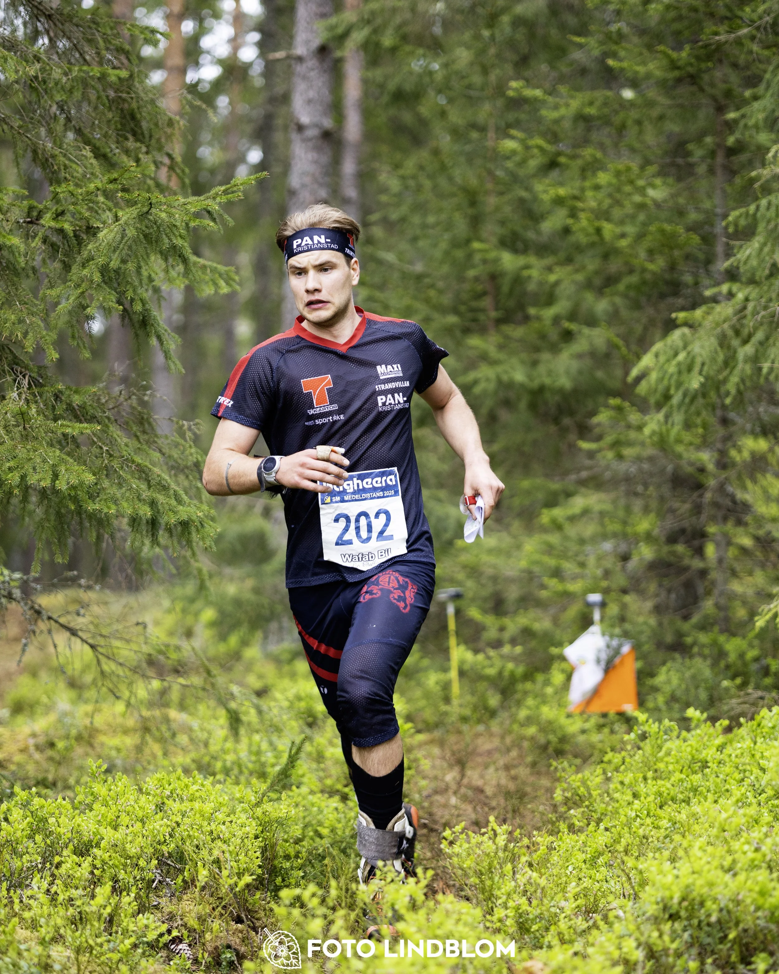 A picture from the Swedish national championship in middle distance orienteering and Swedish league race