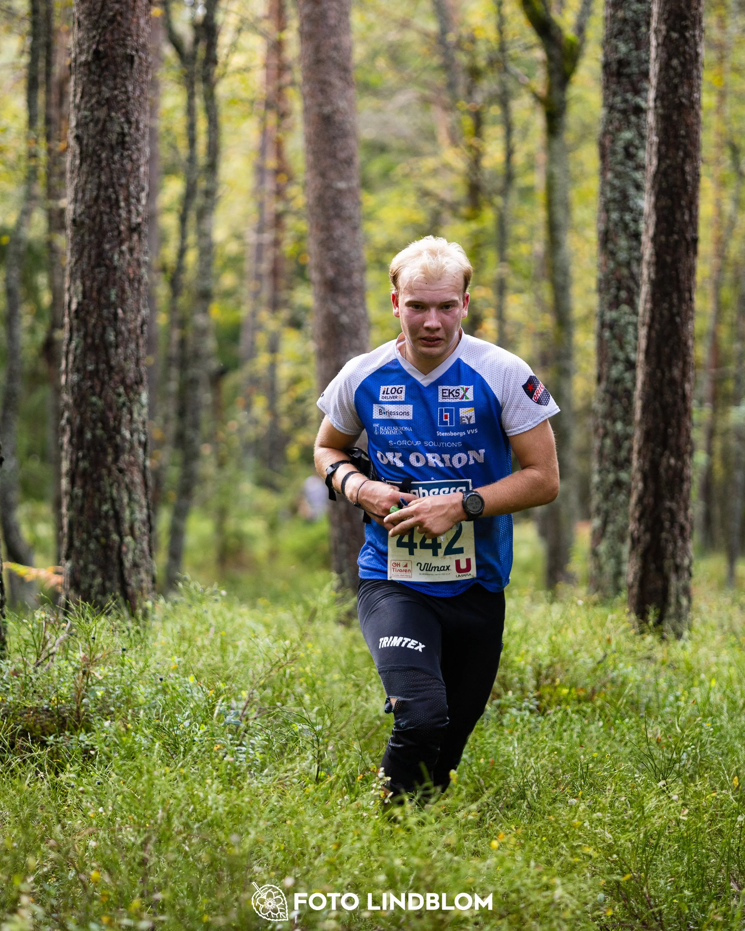 A picture from the Swedish national championship in long distance orienteering and Swedish league race taken by Foto Lindblom