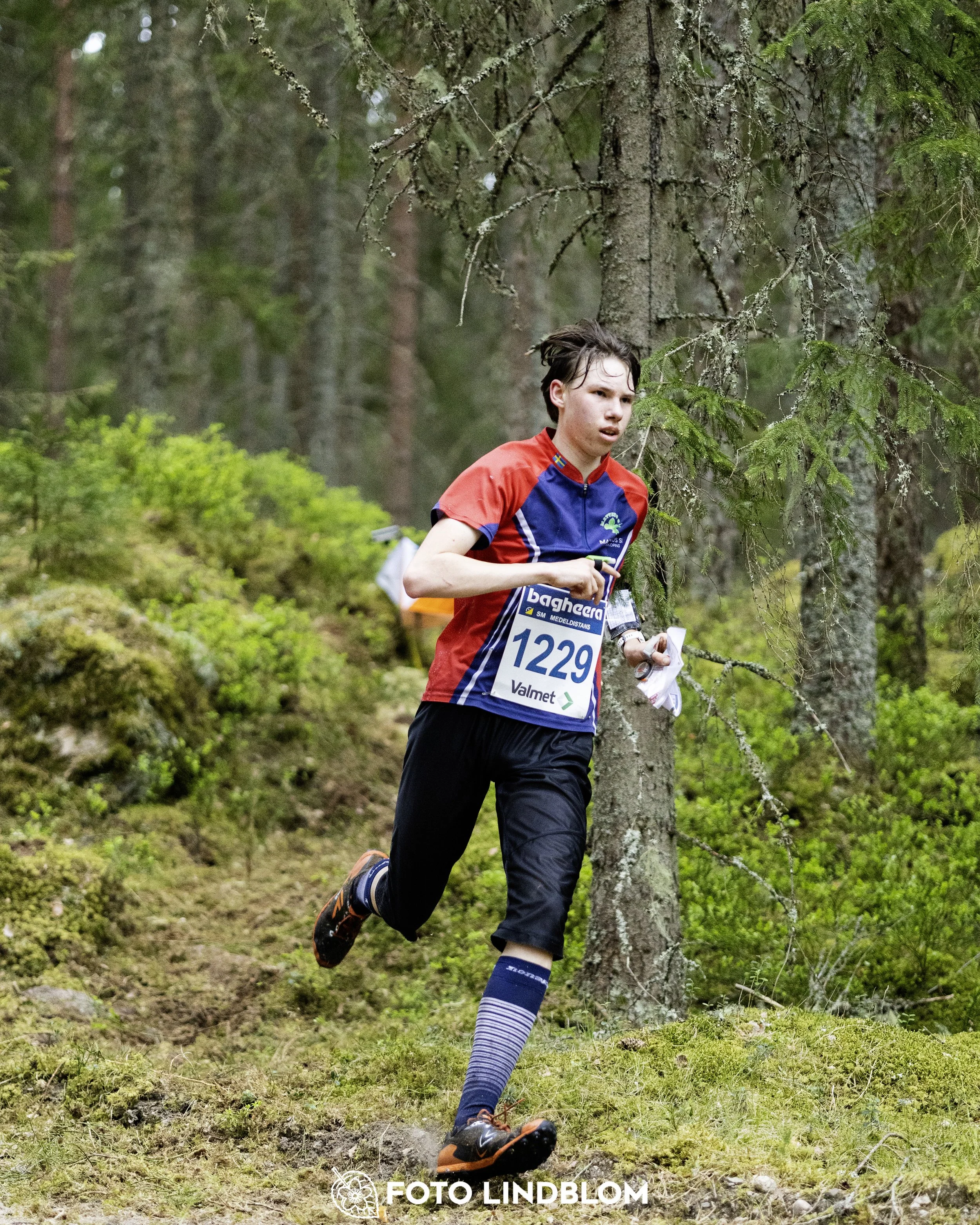 A picture from the Swedish national championship in middle distance orienteering and Swedish league race