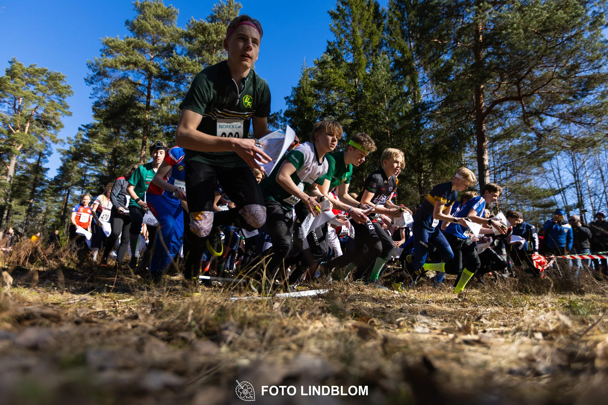 Photo of competitors during the Måsenstafetten 2026 team relay, taken in a wooded landscape by Foto Lindblom.