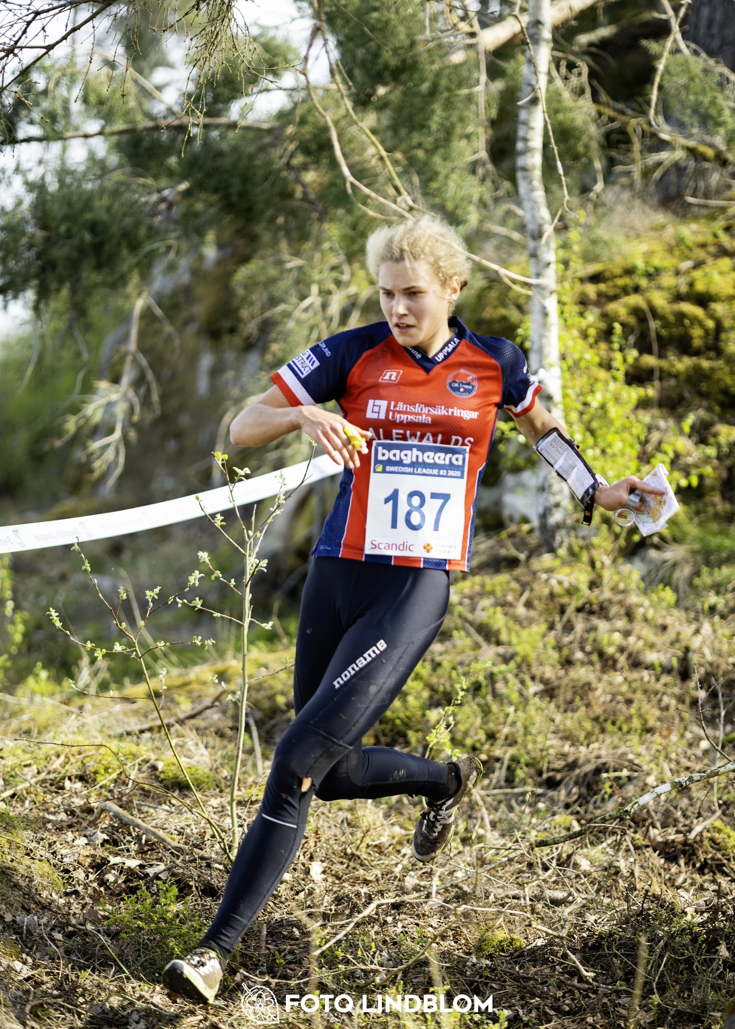 A picture from the third stage of the Swedish League orienteering competition