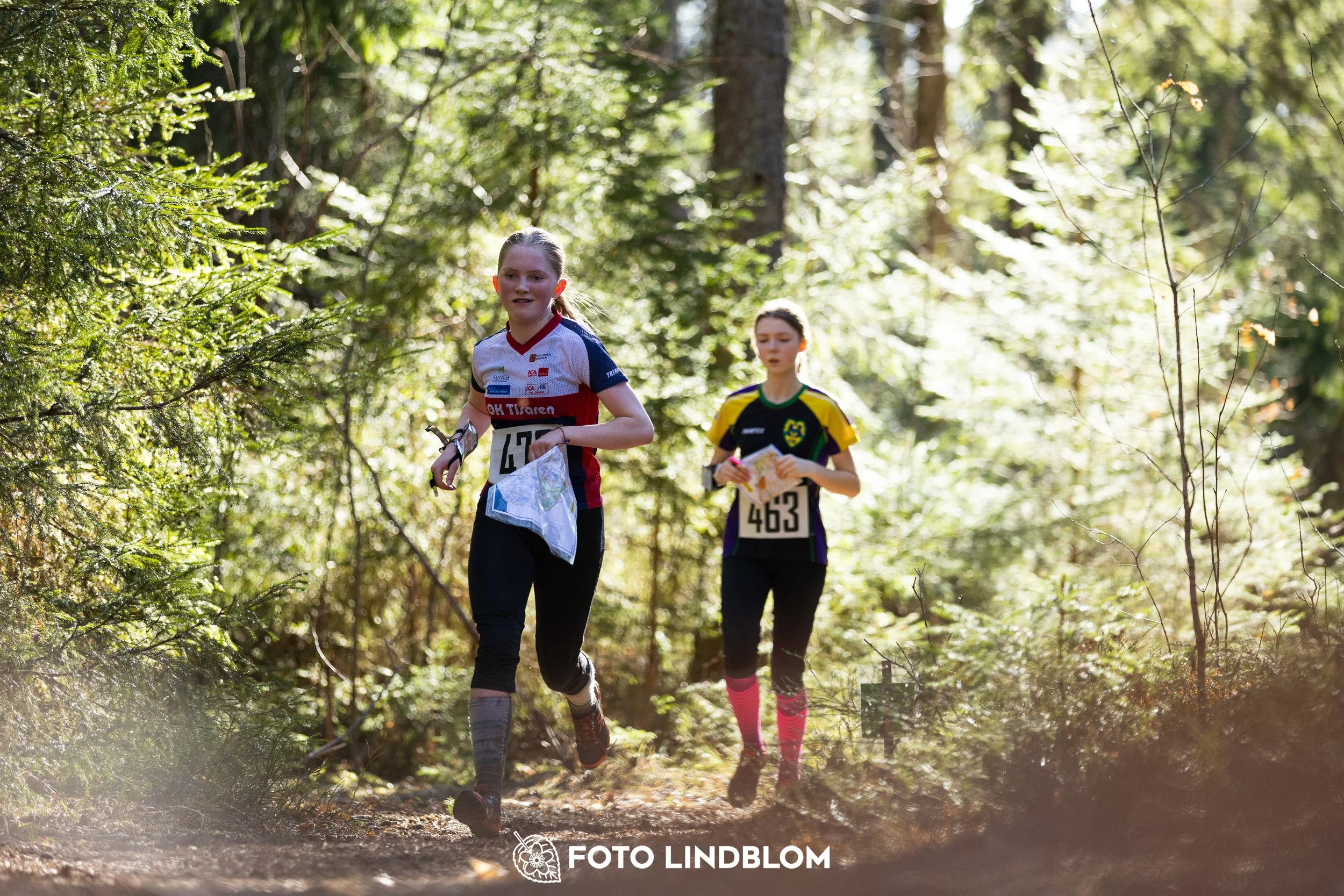 An image from Nyköpingsorienteringen 2026 featuring orienteers in a wooded landscape, shot by Foto Lindblom.