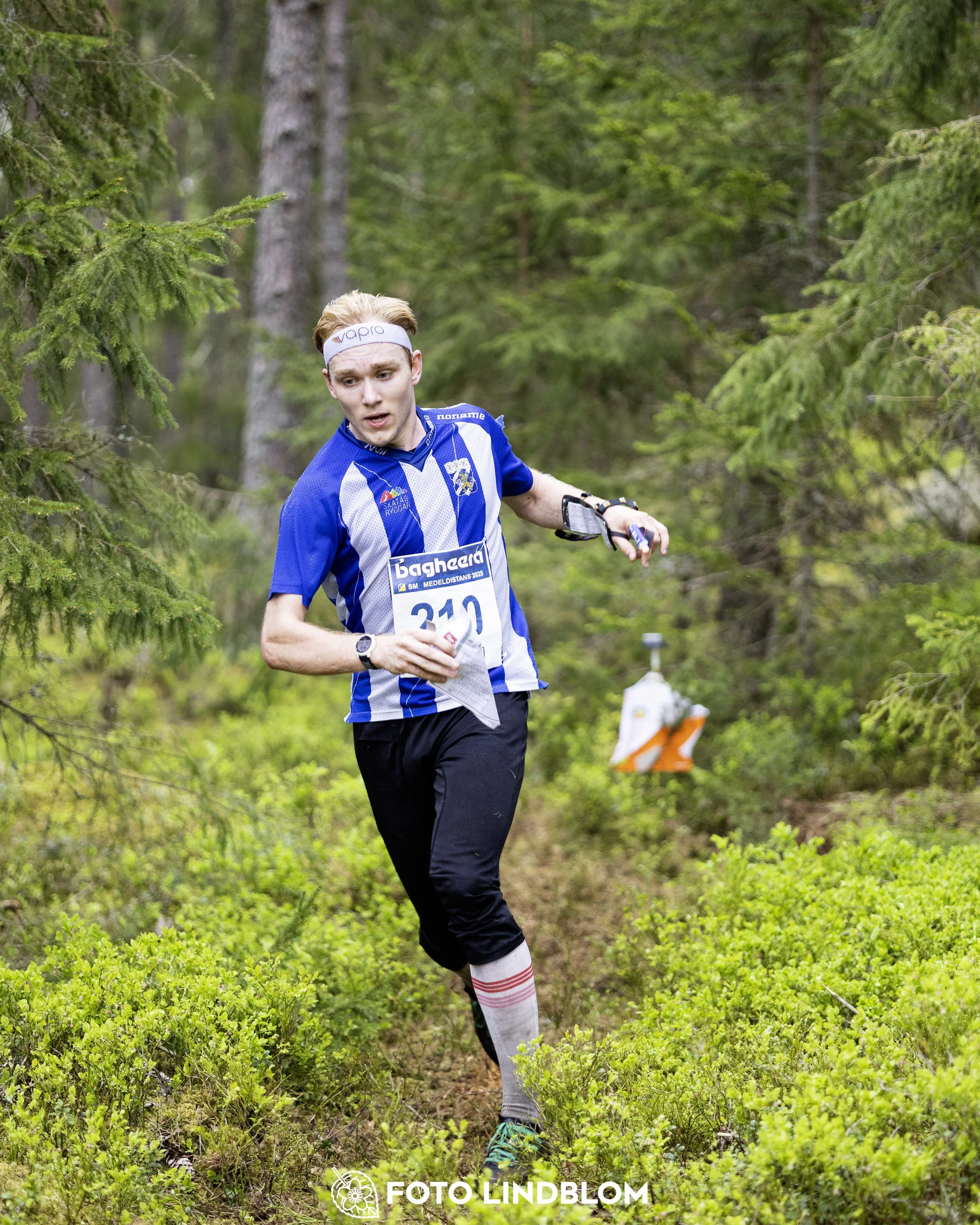 A picture from the Swedish national championship in middle distance orienteering and Swedish league race