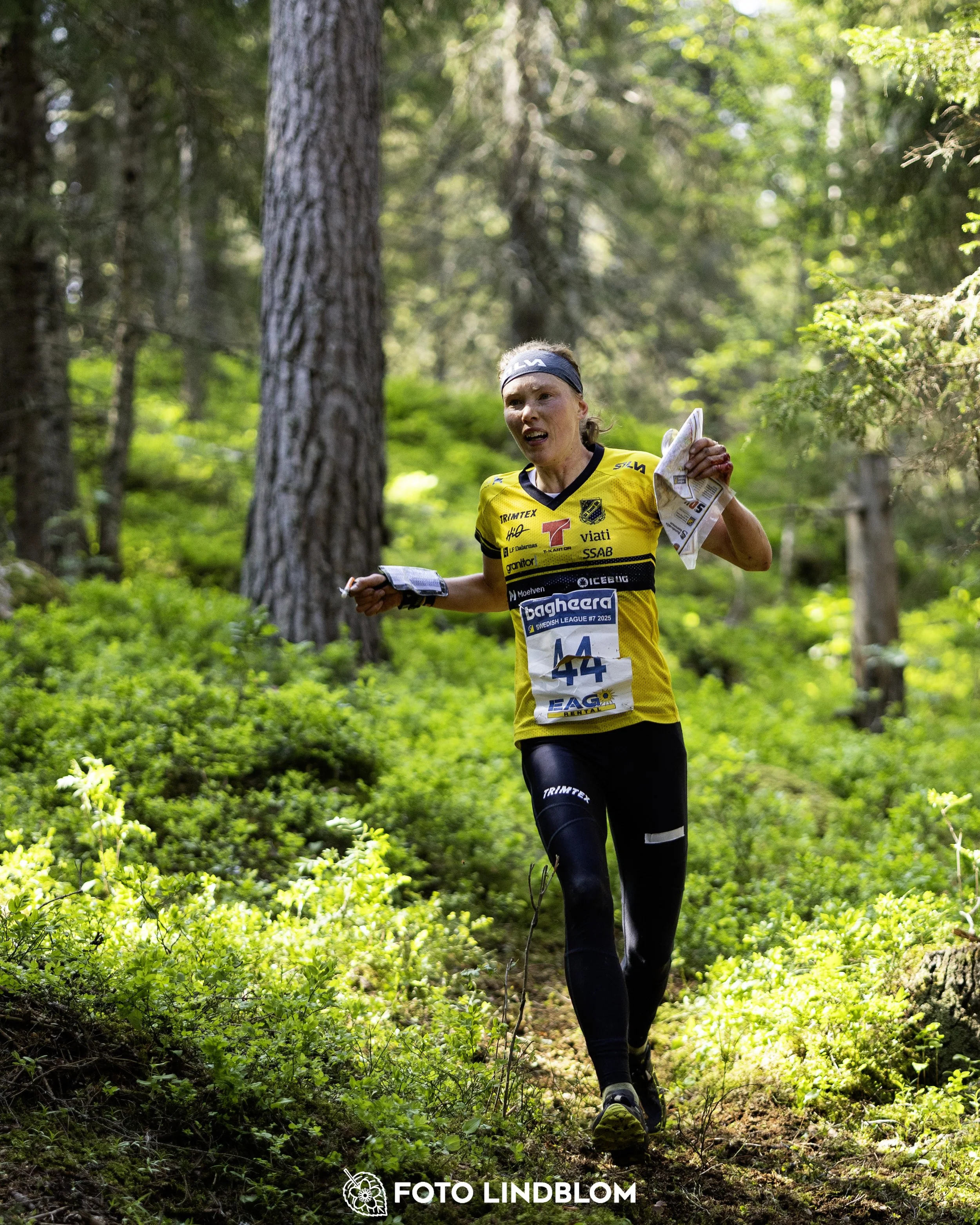 A picture from the seventh stage of the Swedish League orienteering competition
