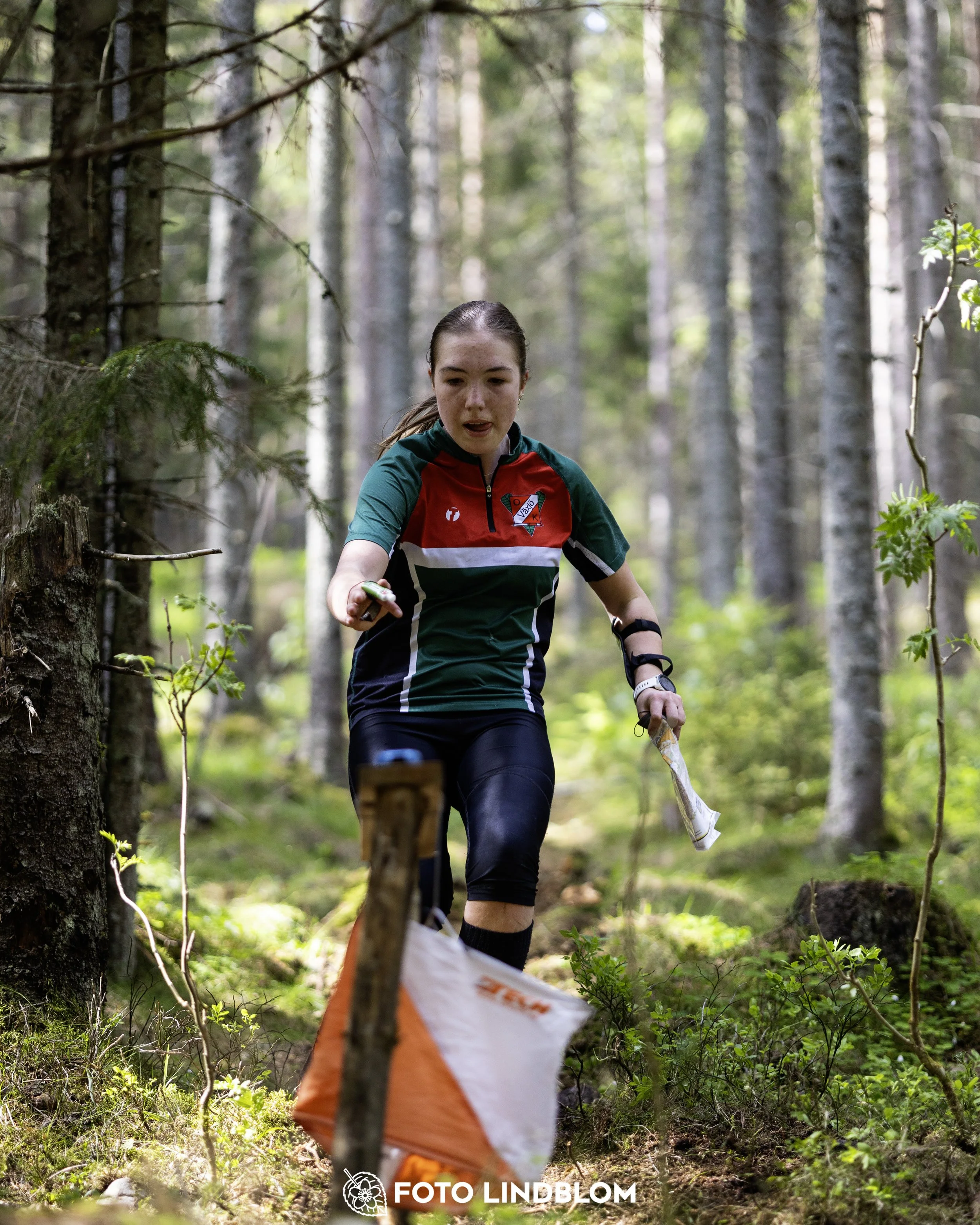 A picture from the seventh stage of the Swedish League orienteering competition