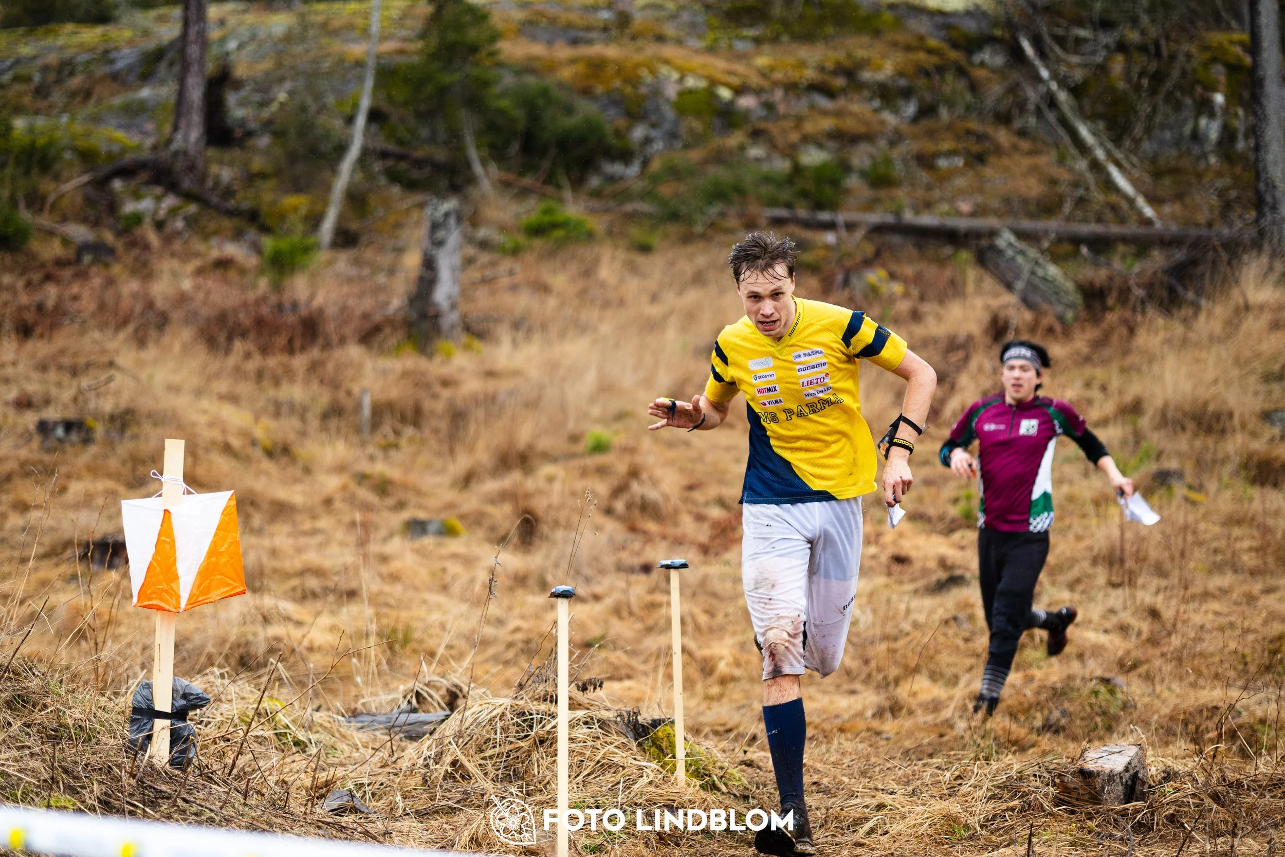 A photo from a forest orienteering competition in Kolmården as part of the Swedish League 2026 season, captured by Foto Lindblom.