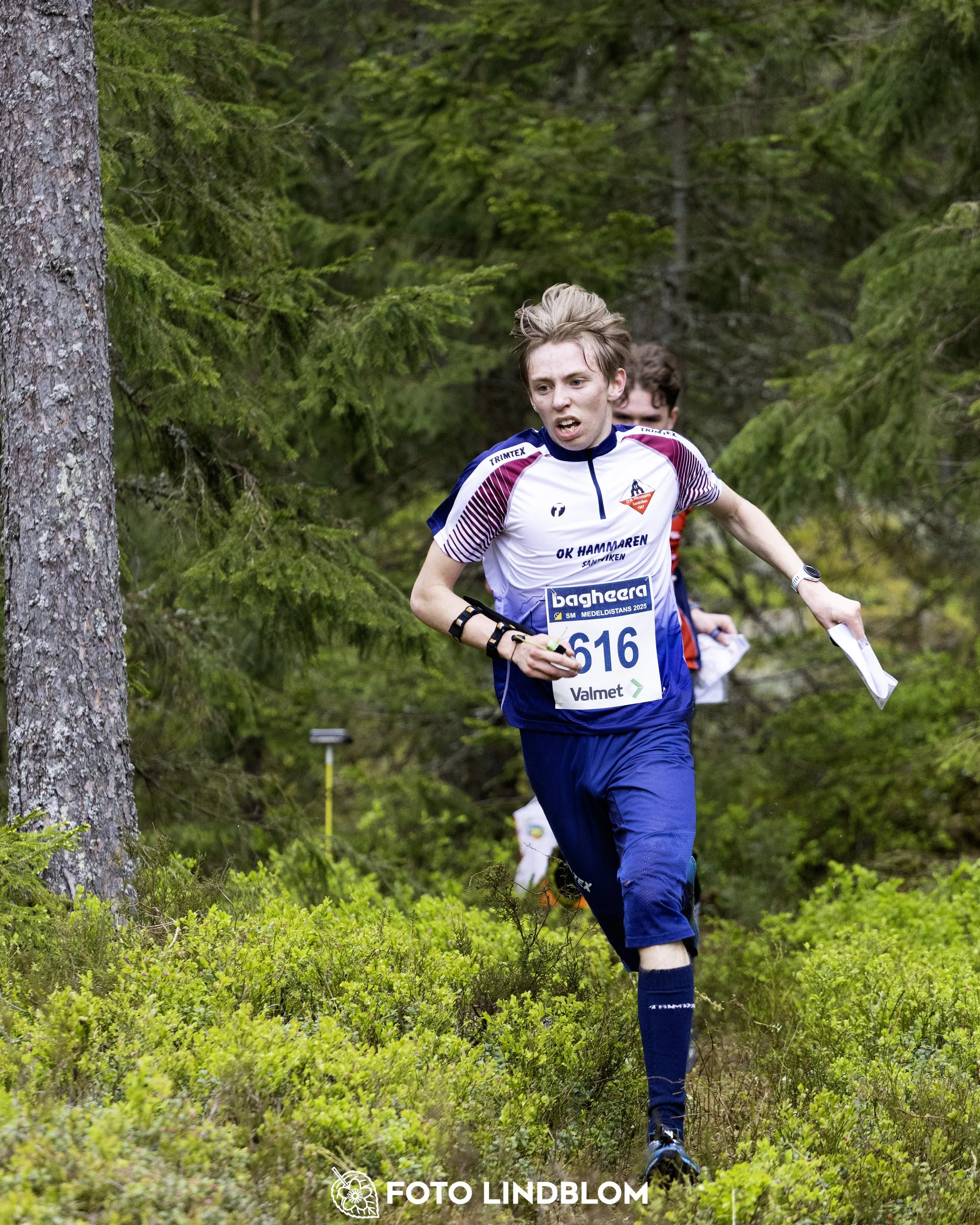 A picture from the Swedish national championship in middle distance orienteering and Swedish league race