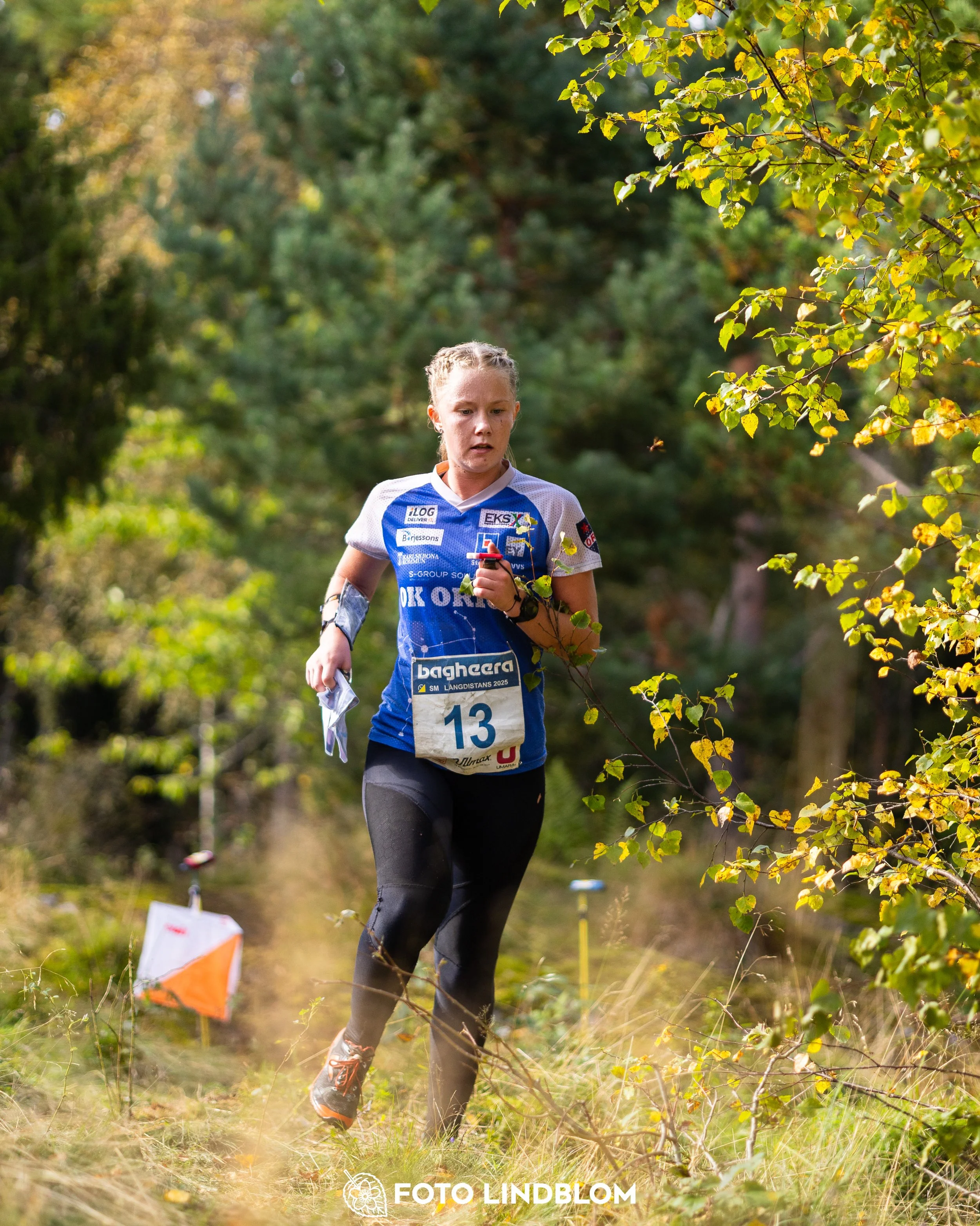 A picture from the Swedish national championship in long distance orienteering and Swedish league race taken by Foto Lindblom