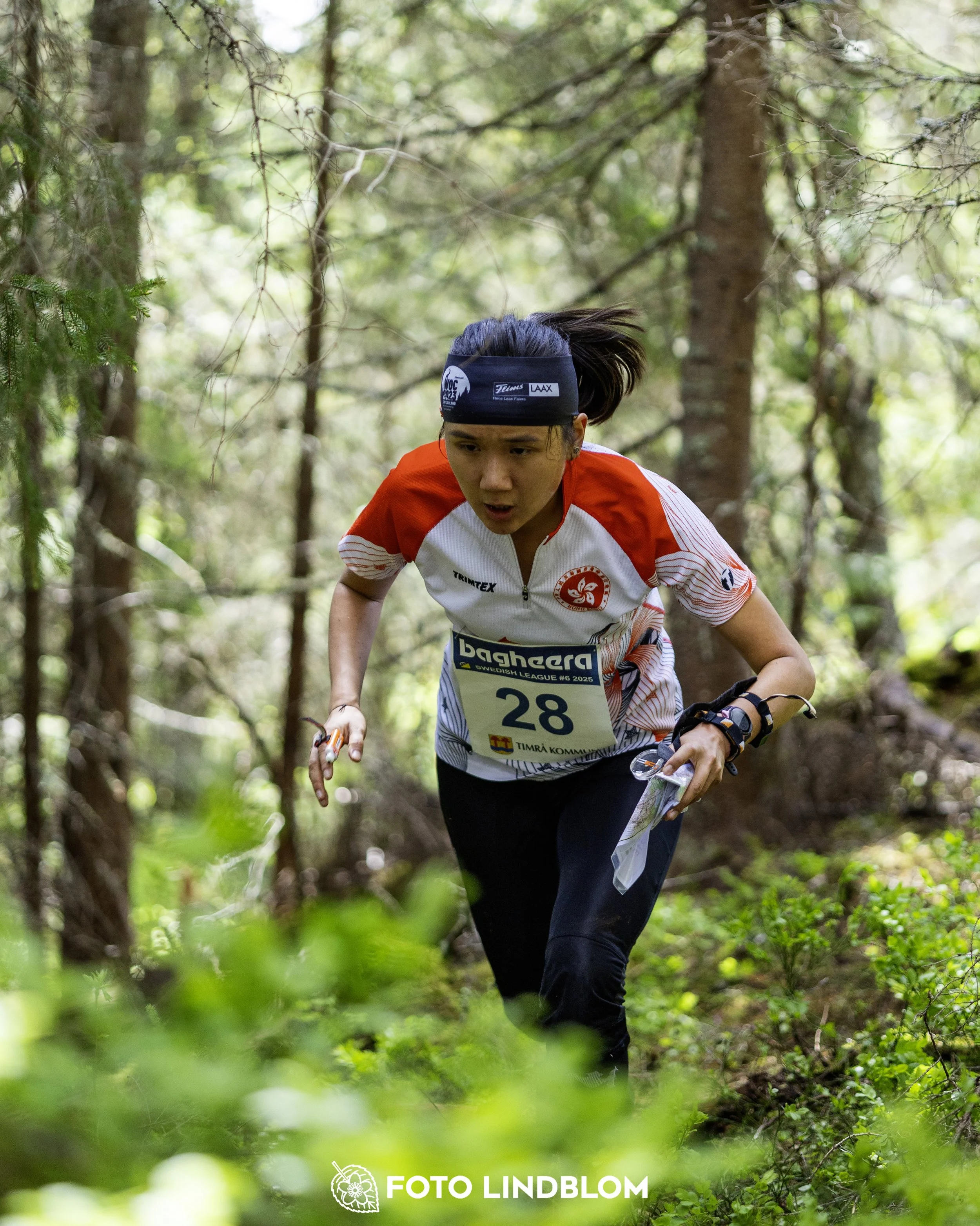 A picture from the seventh stage of the Swedish League orienteering competition