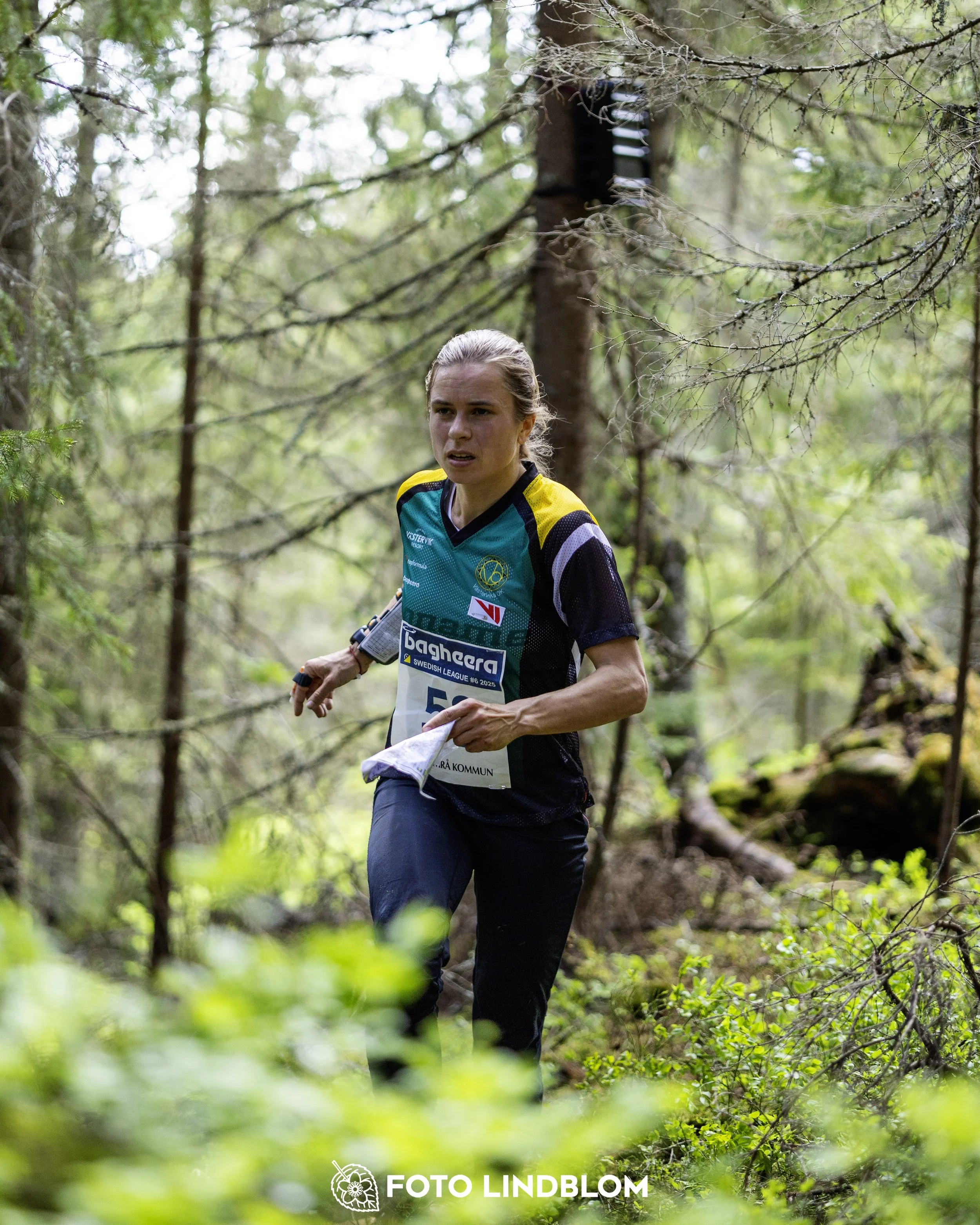 A picture from the seventh stage of the Swedish League orienteering competition