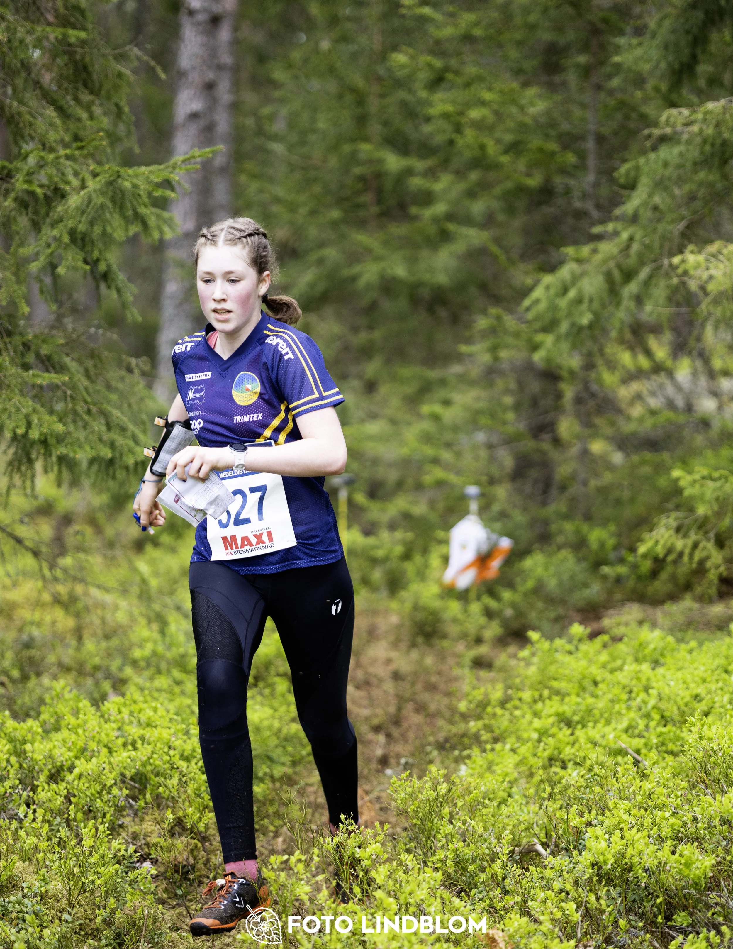 A picture from the Swedish national championship in middle distance orienteering and Swedish league race