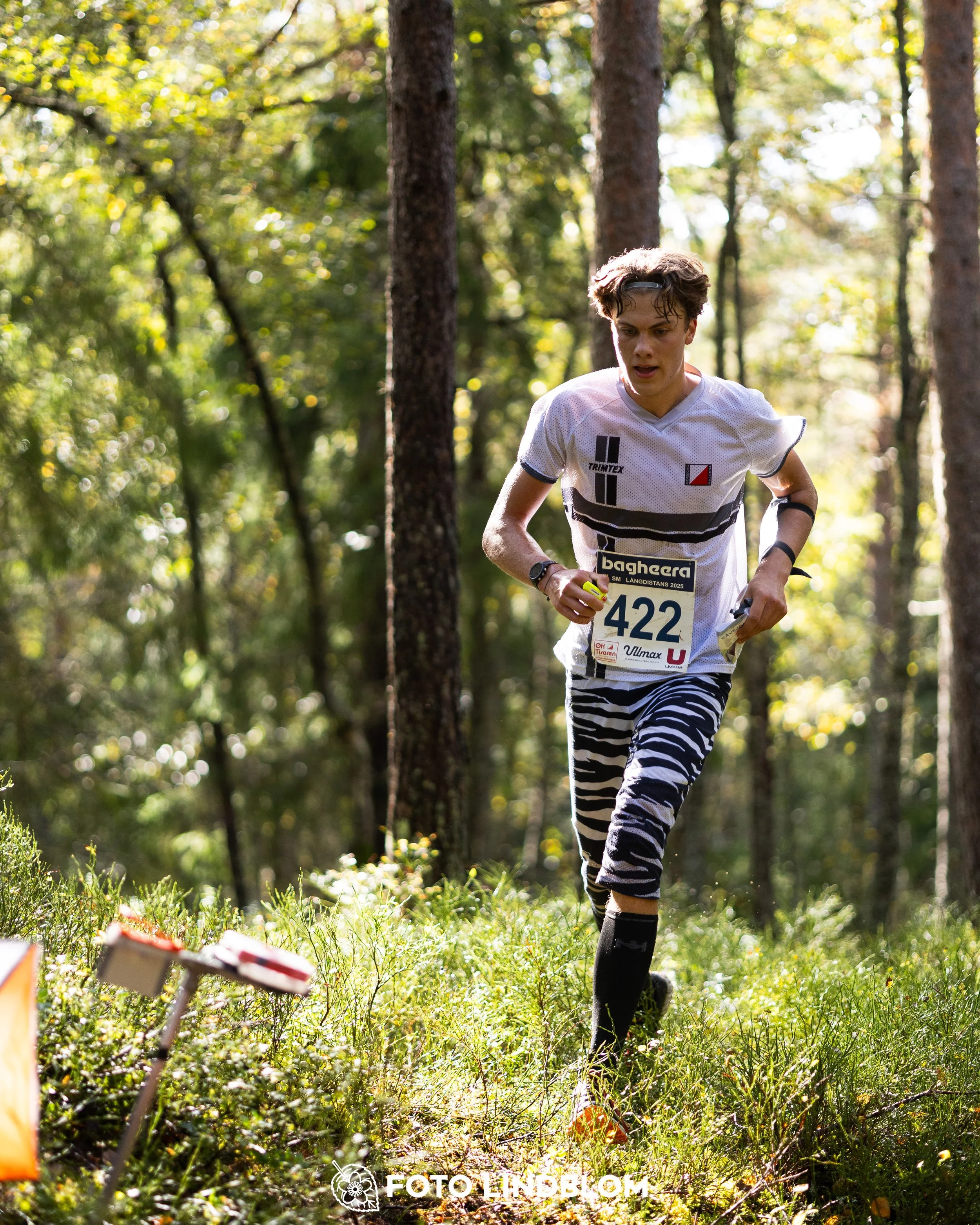 A picture from the Swedish national championship in long distance orienteering and Swedish league race taken by Foto Lindblom