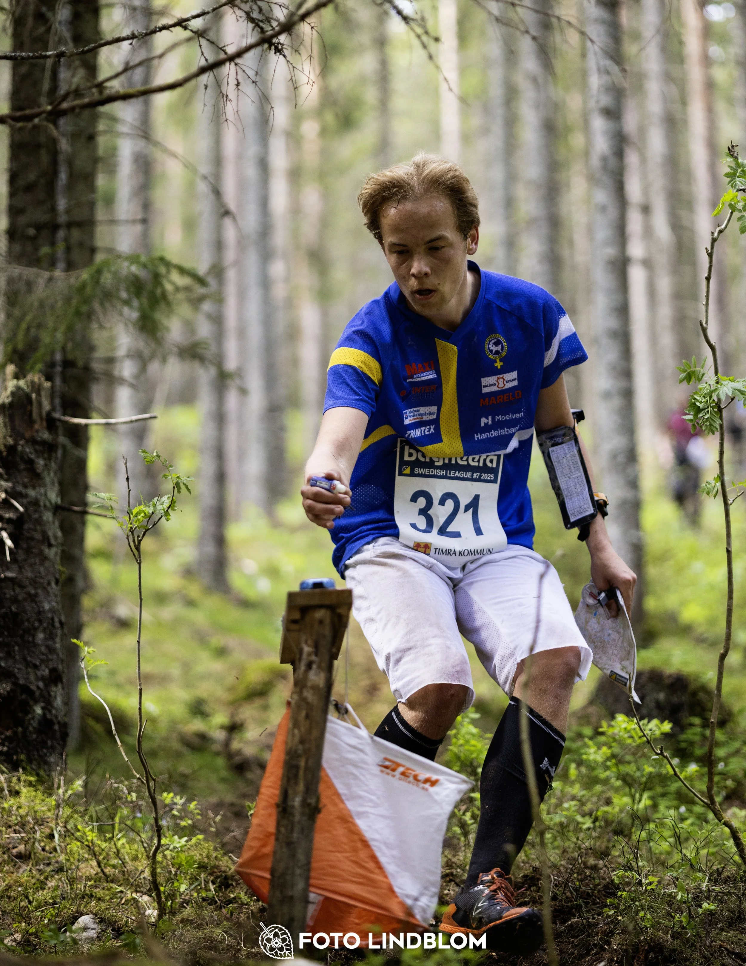 A picture from the seventh stage of the Swedish League orienteering competition