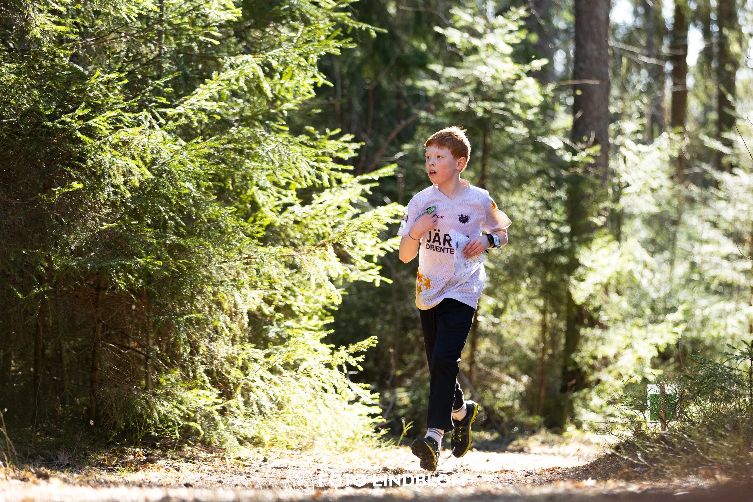 Image from Nyköpingsorienteringen 2026 showing competitors navigating forest terrain, taken by Foto Lindblom.