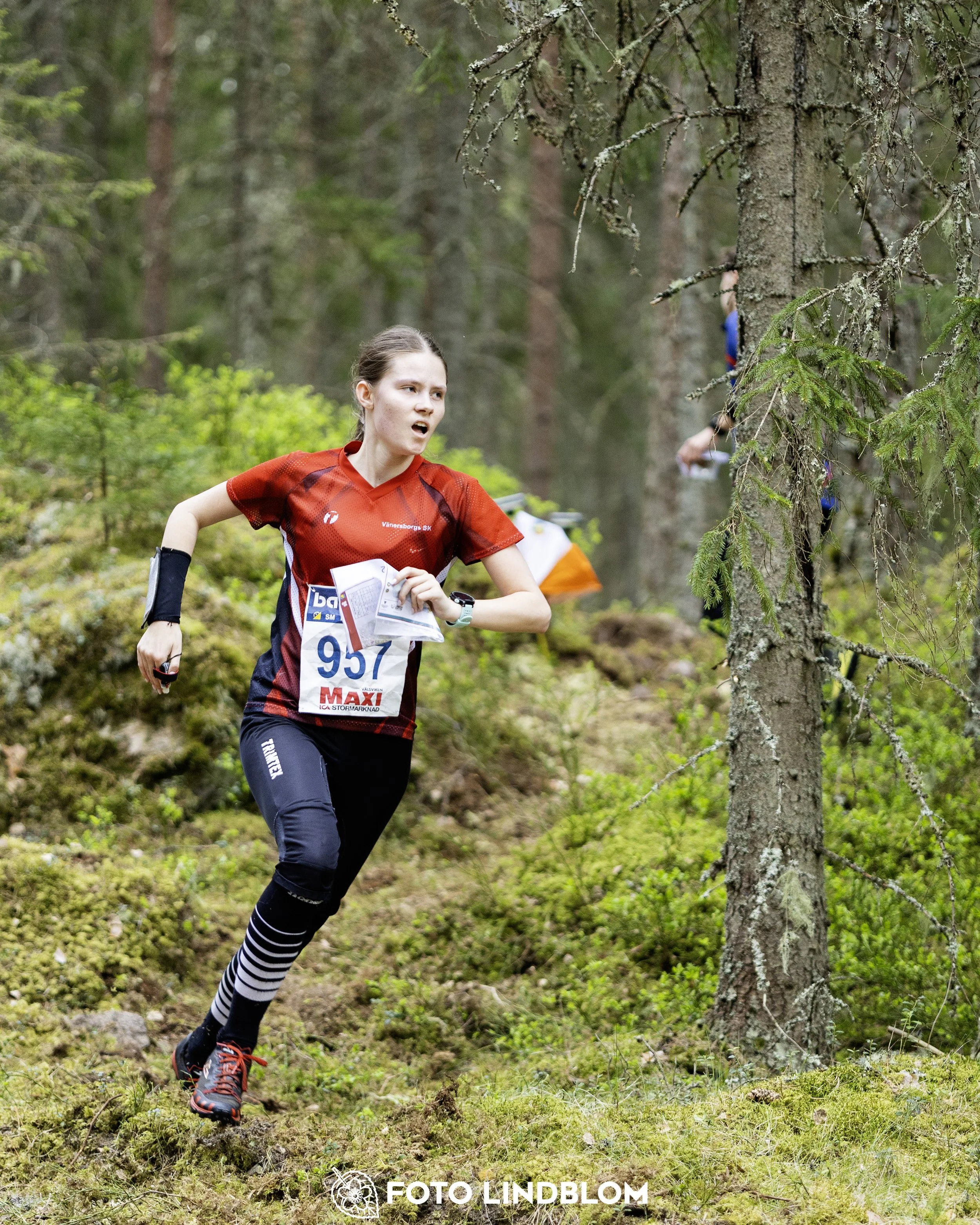 A picture from the Swedish national championship in middle distance orienteering and Swedish league race
